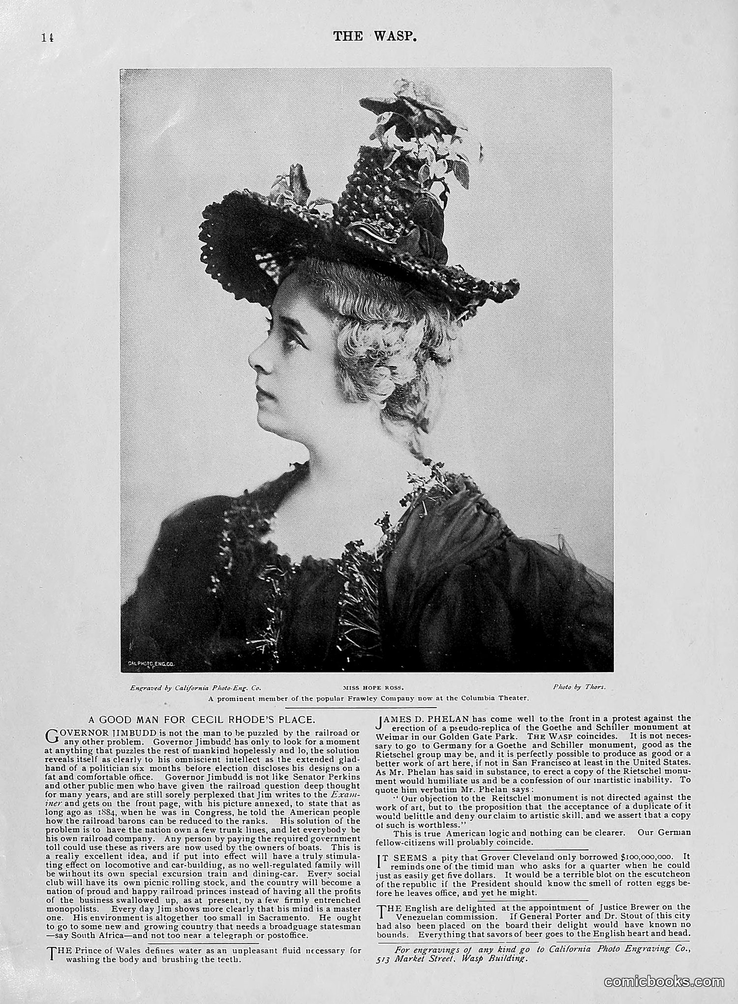The Wasp — 1896 — page 43 of 1082