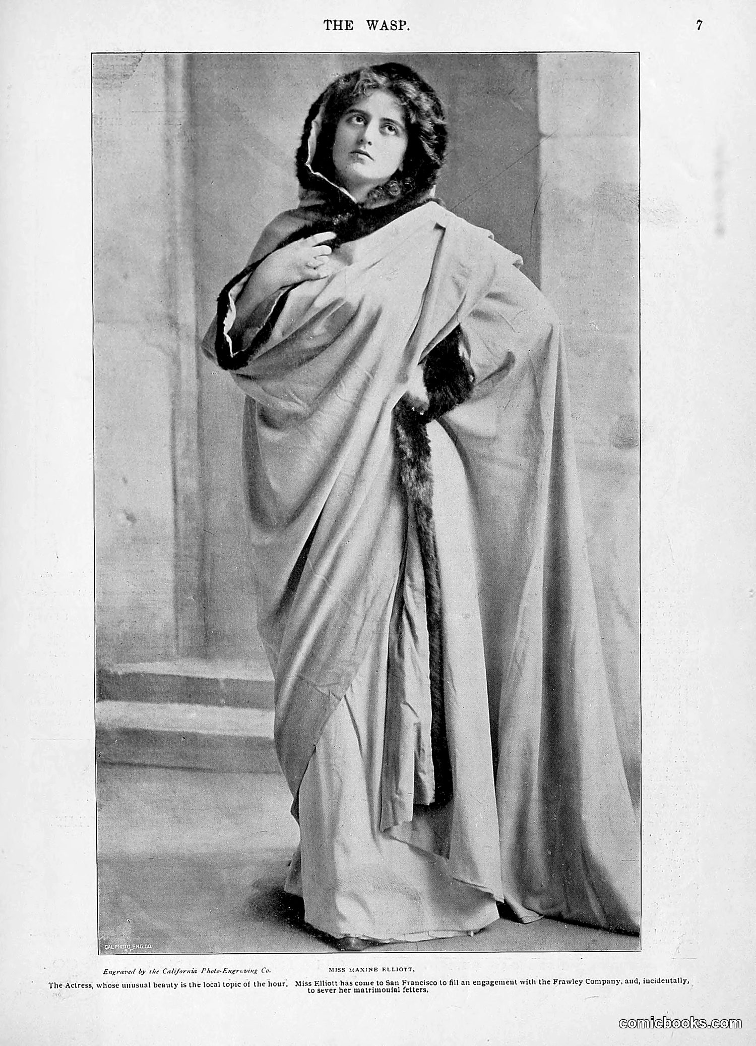 The Wasp — 1896 — page 426 of 1082