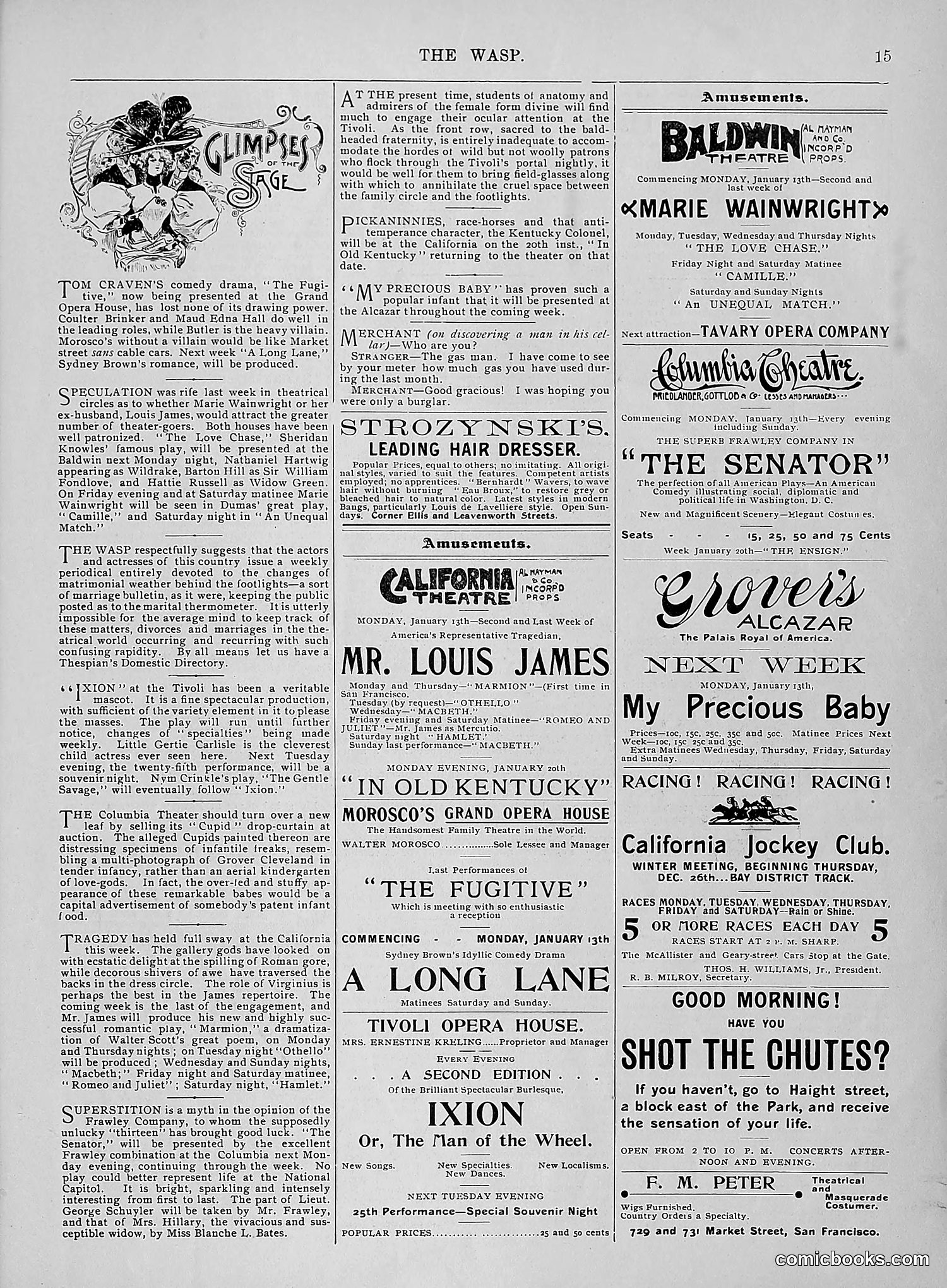 The Wasp — 1896 — page 44 of 1082