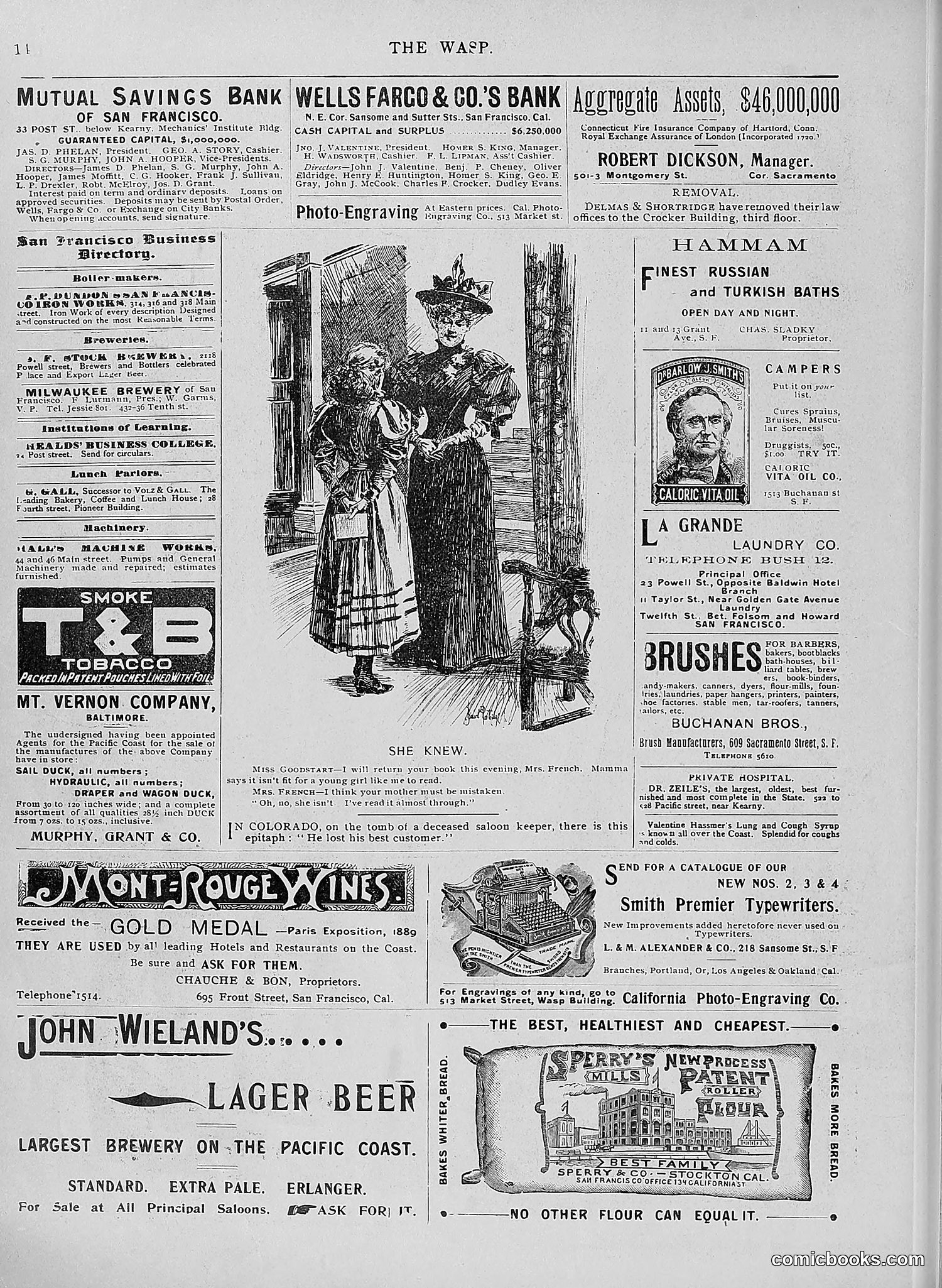 The Wasp — 1896 — page 433 of 1082