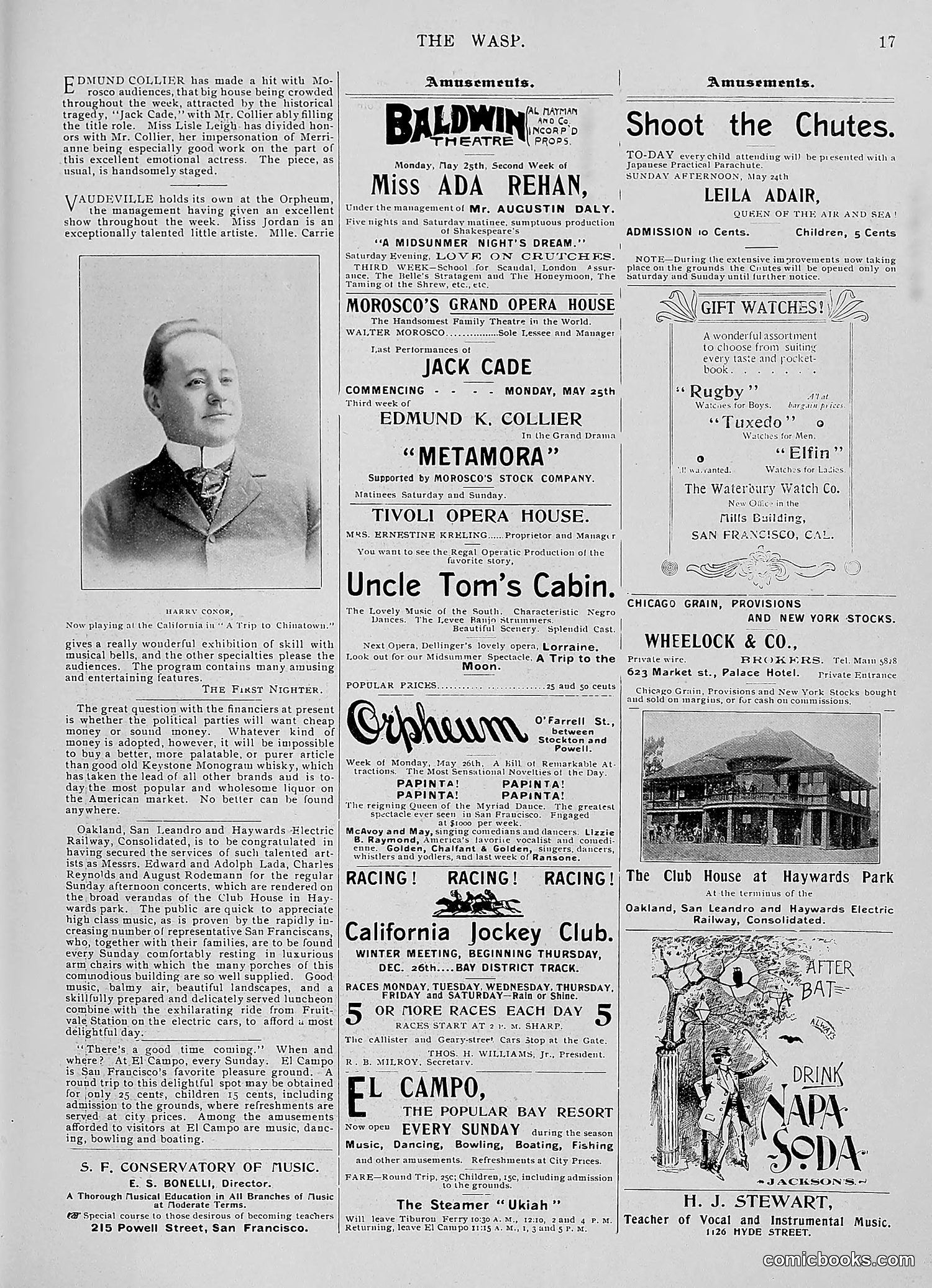 The Wasp — 1896 — page 436 of 1082