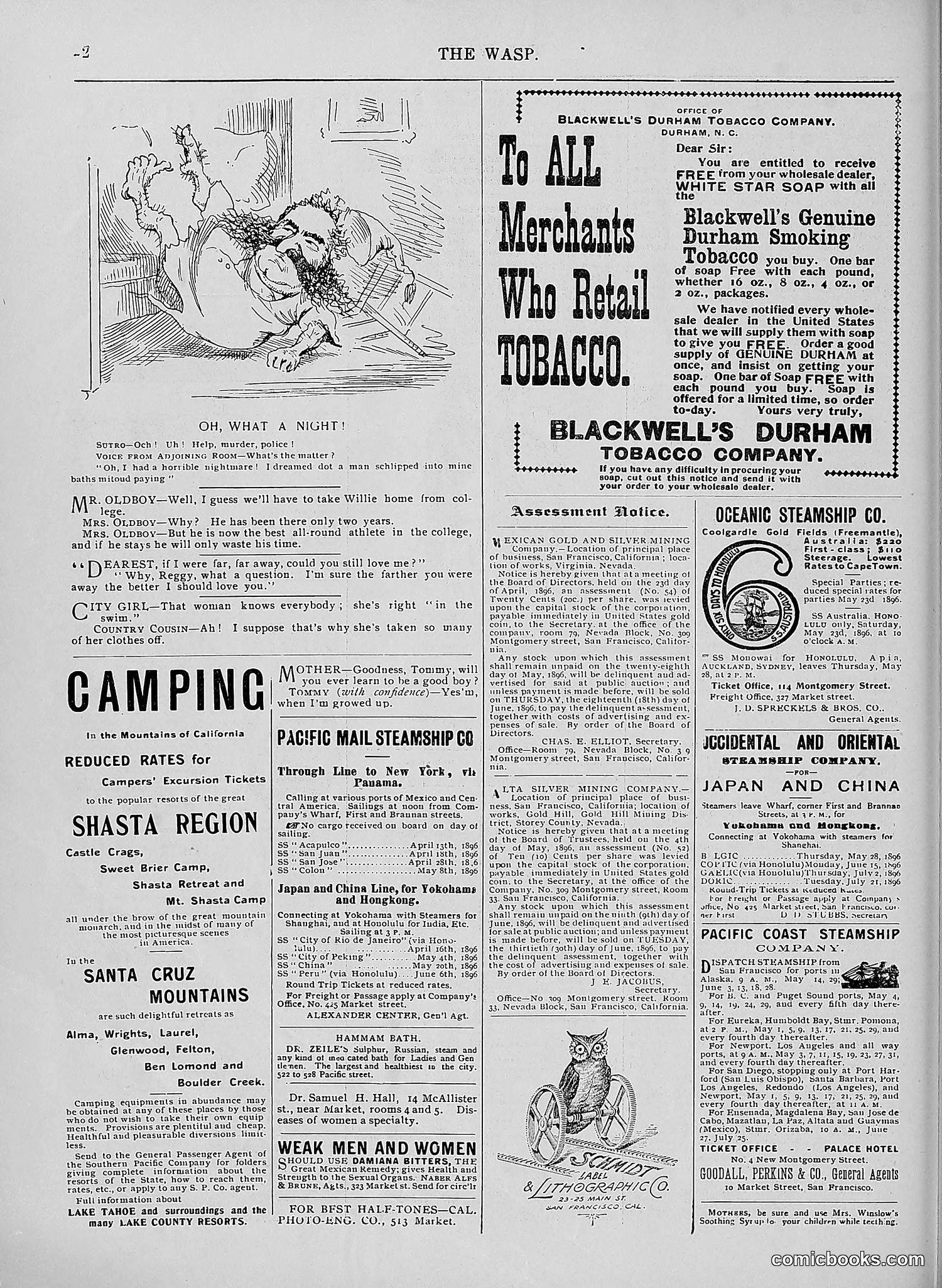 The Wasp — 1896 — page 441 of 1082