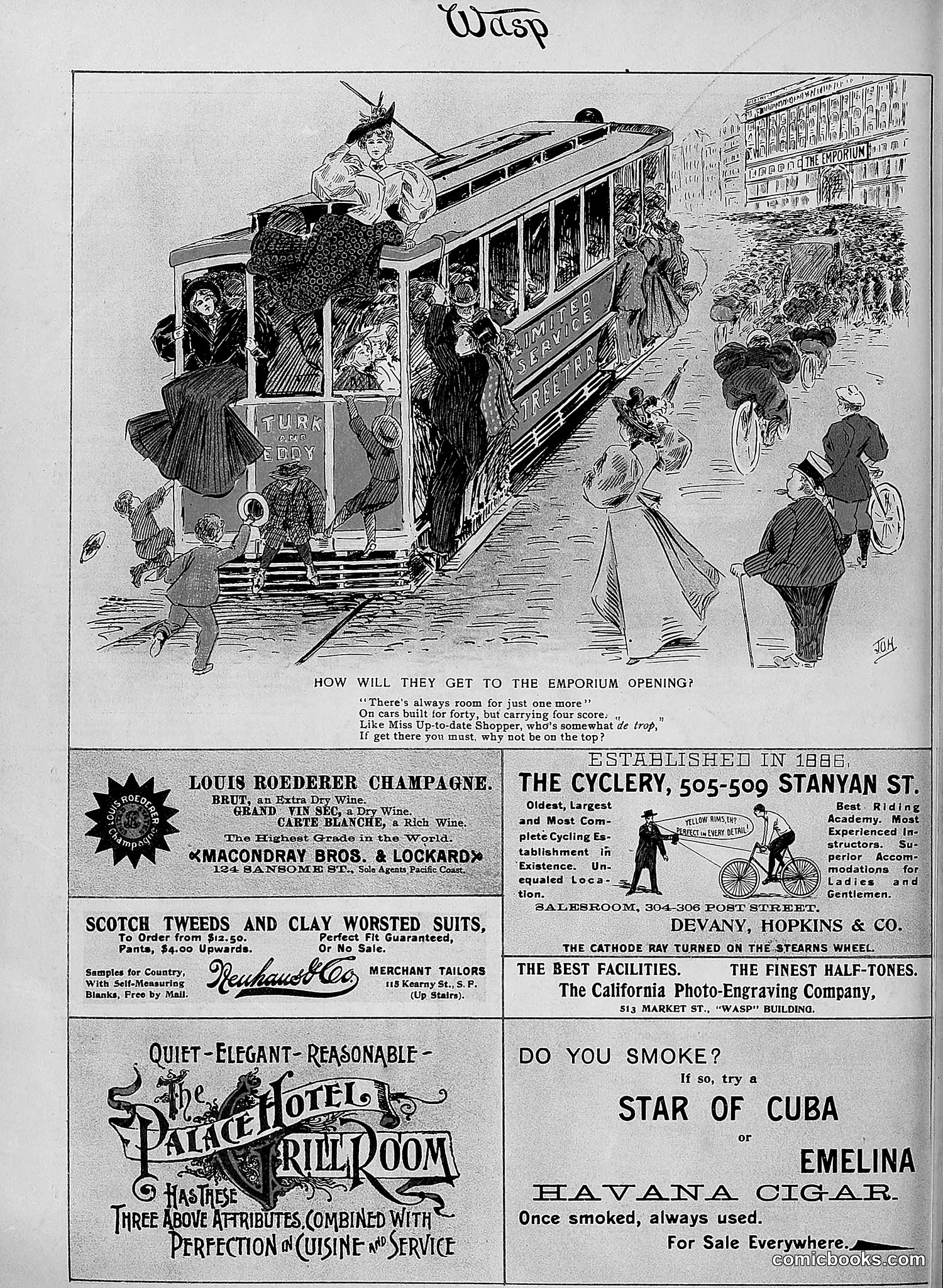 The Wasp — 1896 — page 443 of 1082