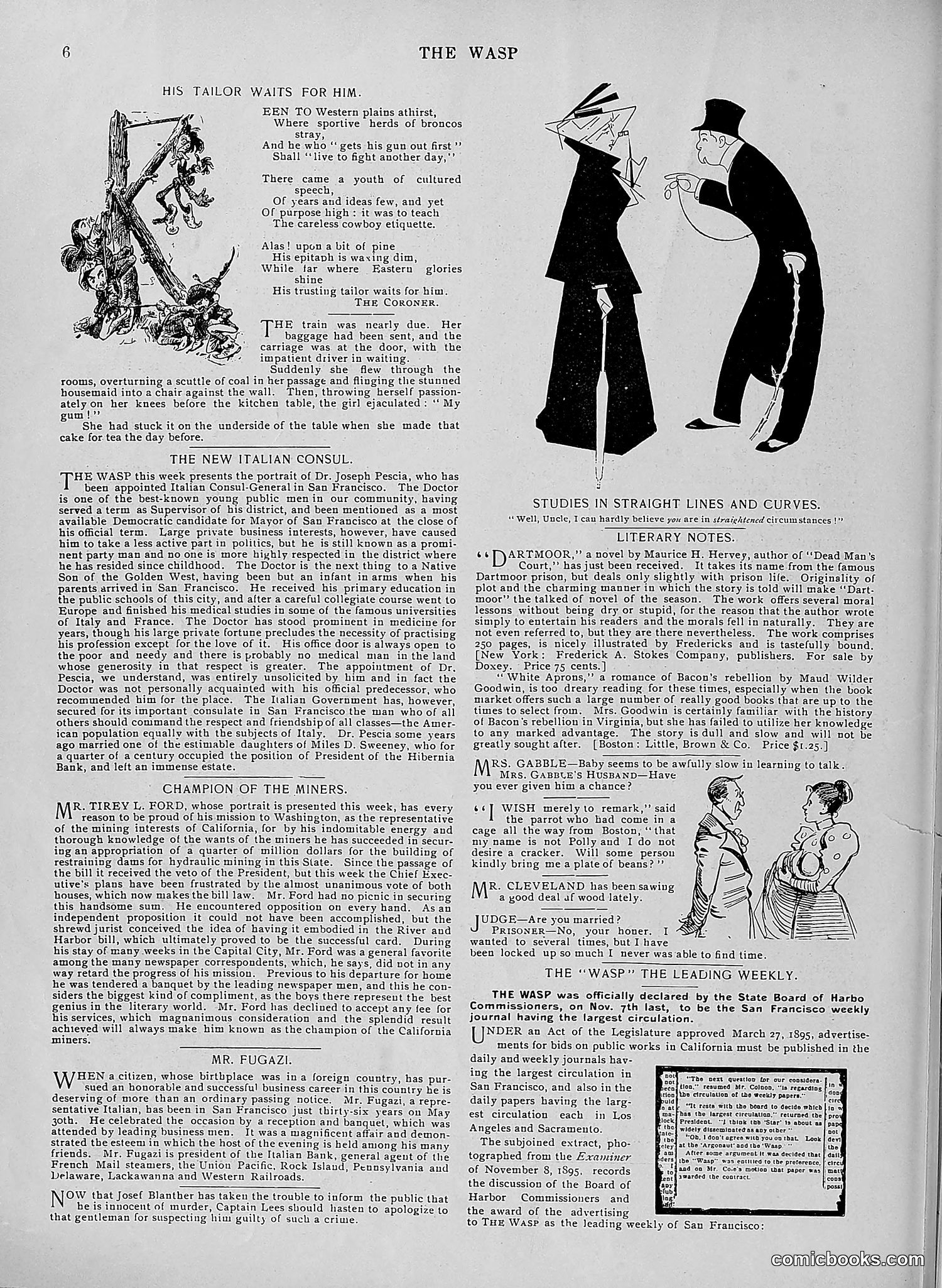 The Wasp — 1896 — page 447 of 1082