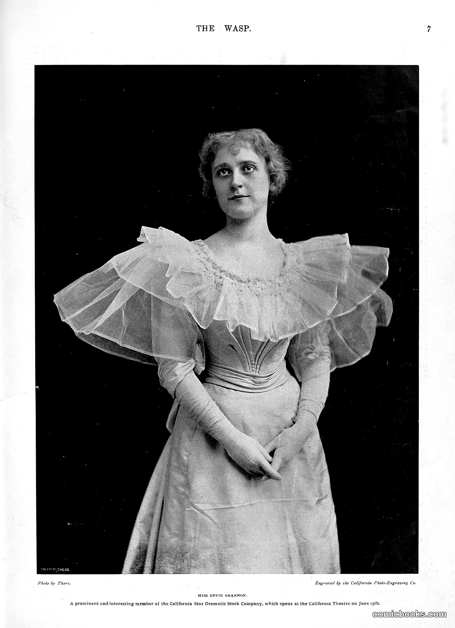 The Wasp — 1896 — page 448 of 1082