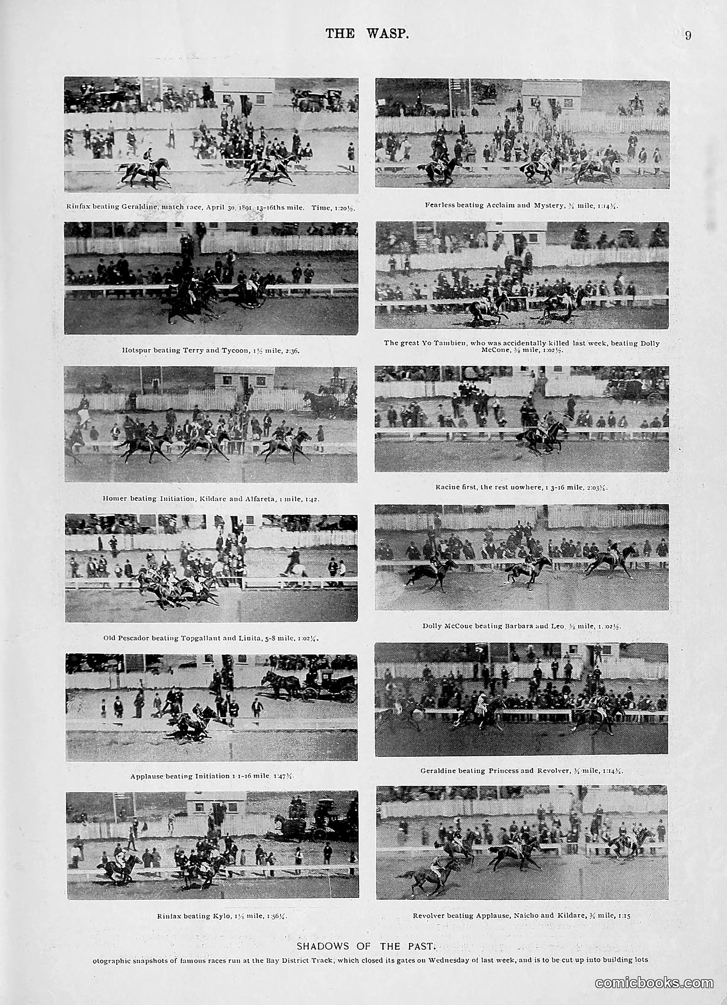 The Wasp — 1896 — page 450 of 1082