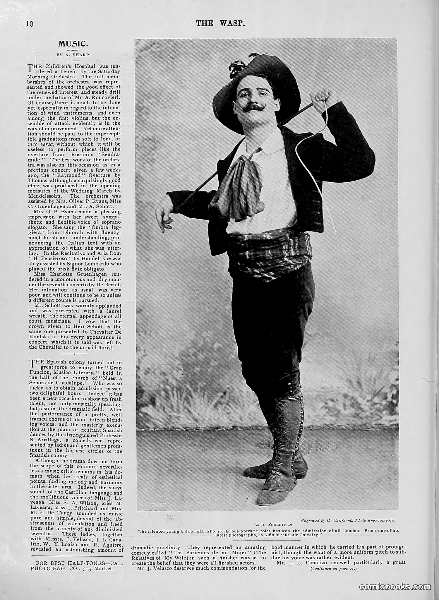 The Wasp — 1896 — page 451 of 1082