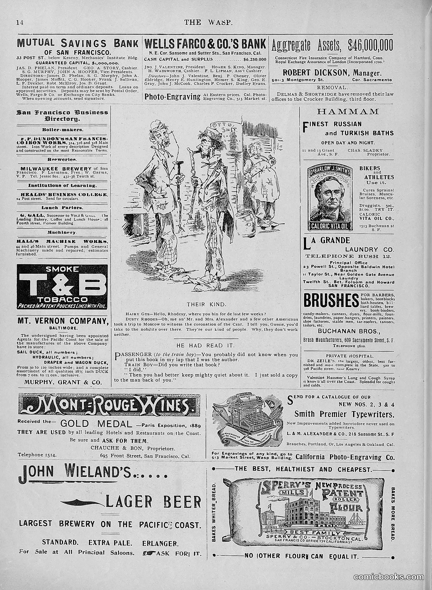 The Wasp — 1896 — page 455 of 1082