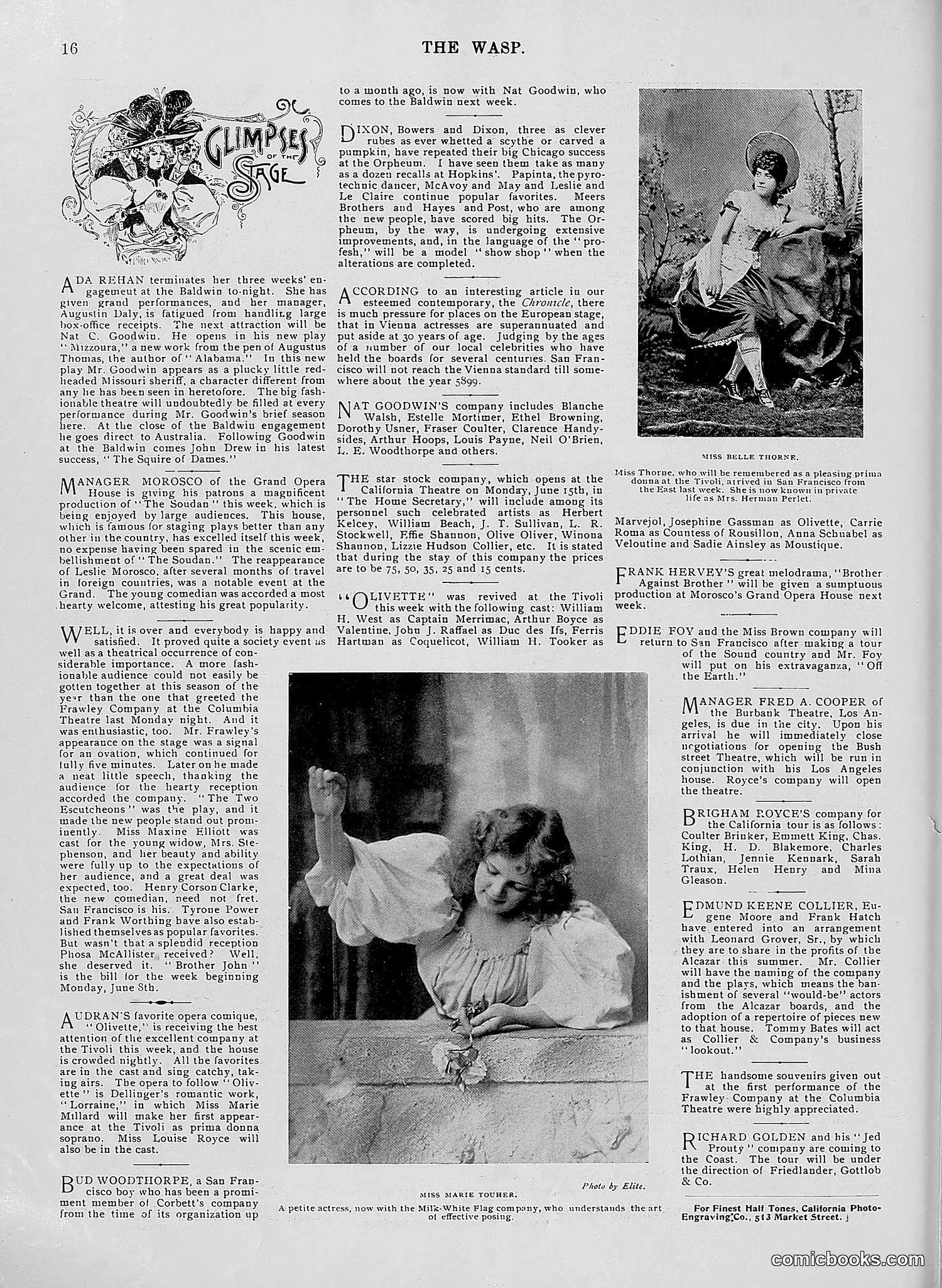The Wasp — 1896 — page 457 of 1082
