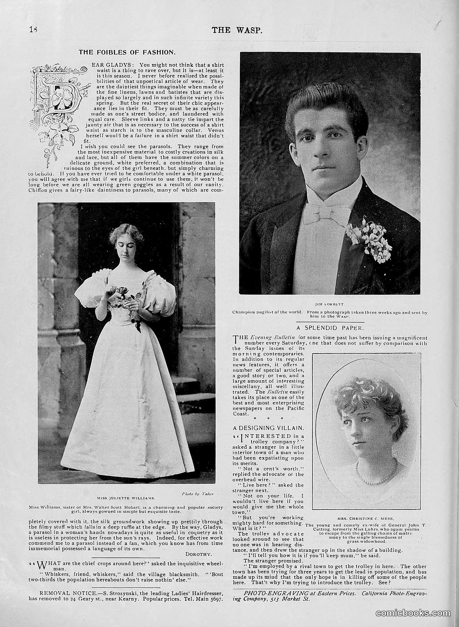 The Wasp — 1896 — page 459 of 1082