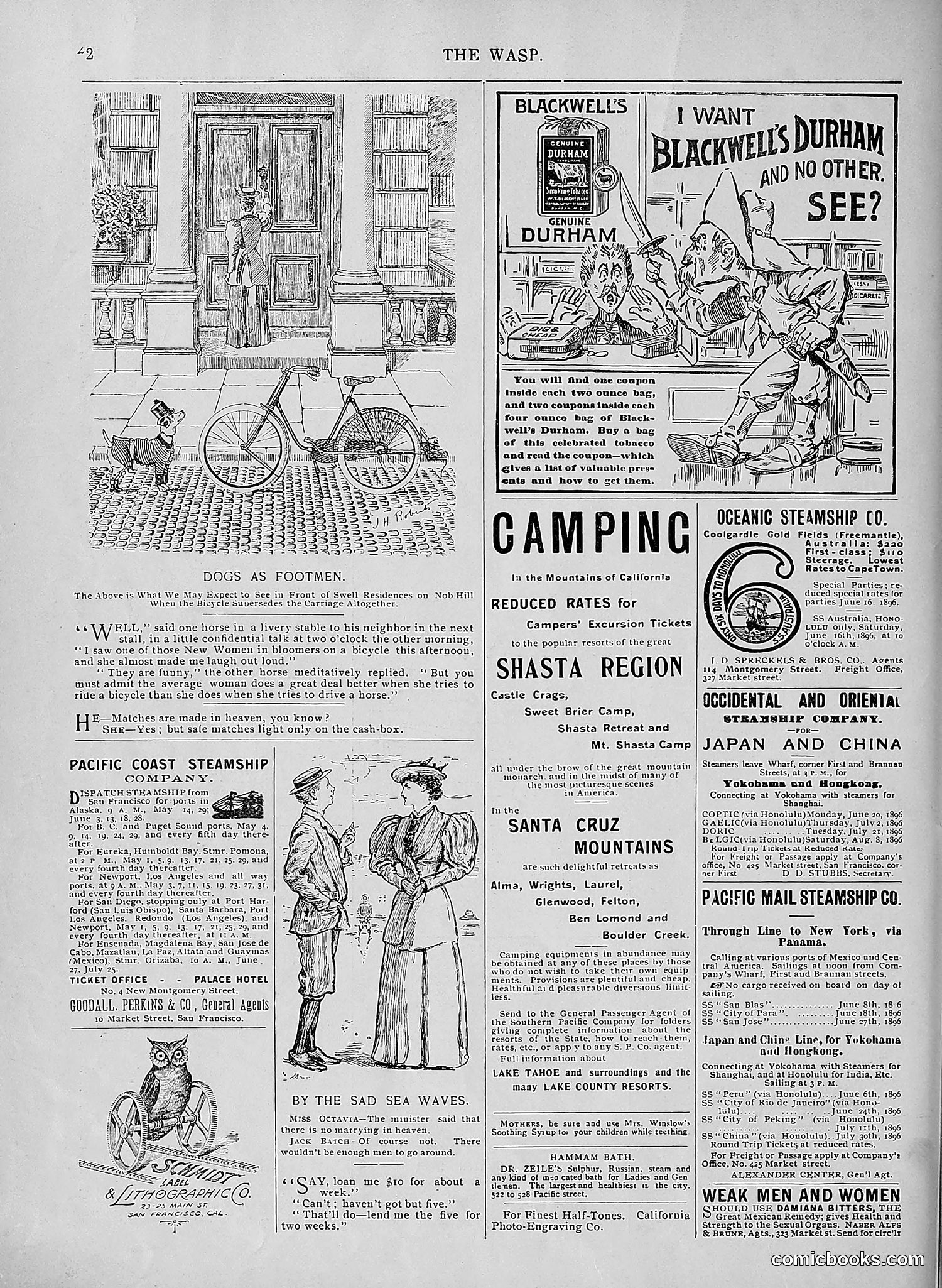 The Wasp — 1896 — page 463 of 1082