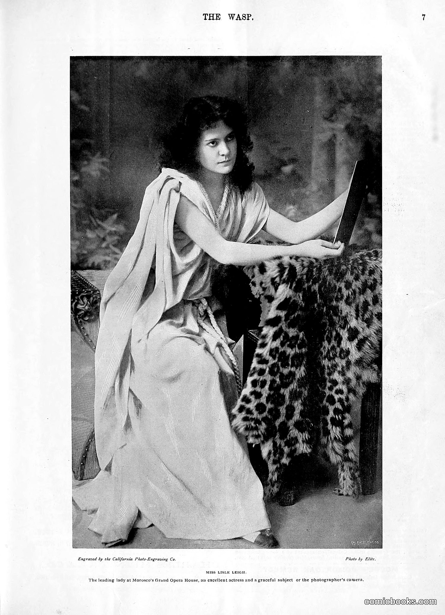 The Wasp — 1896 — page 470 of 1082