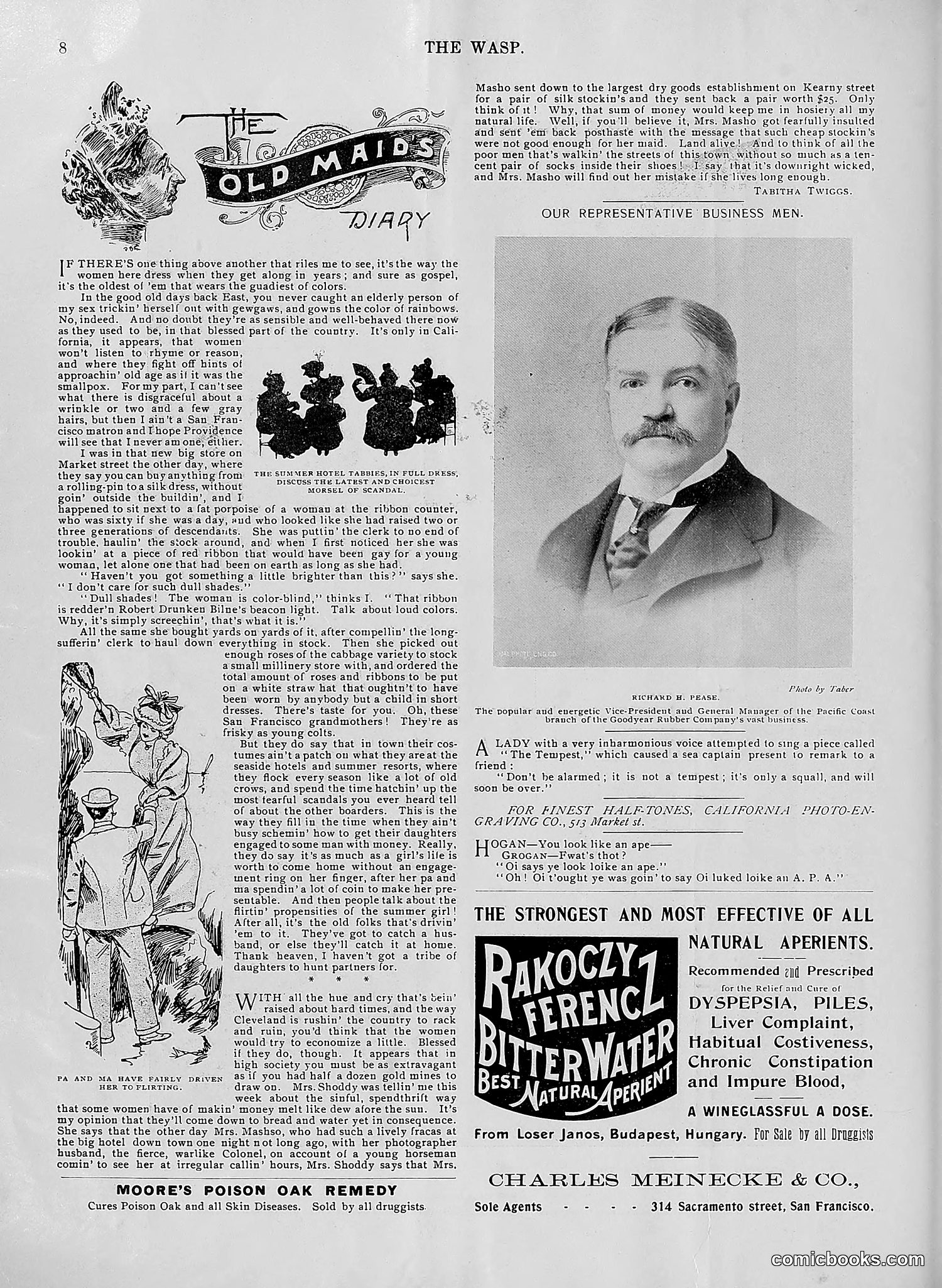 The Wasp — 1896 — page 471 of 1082
