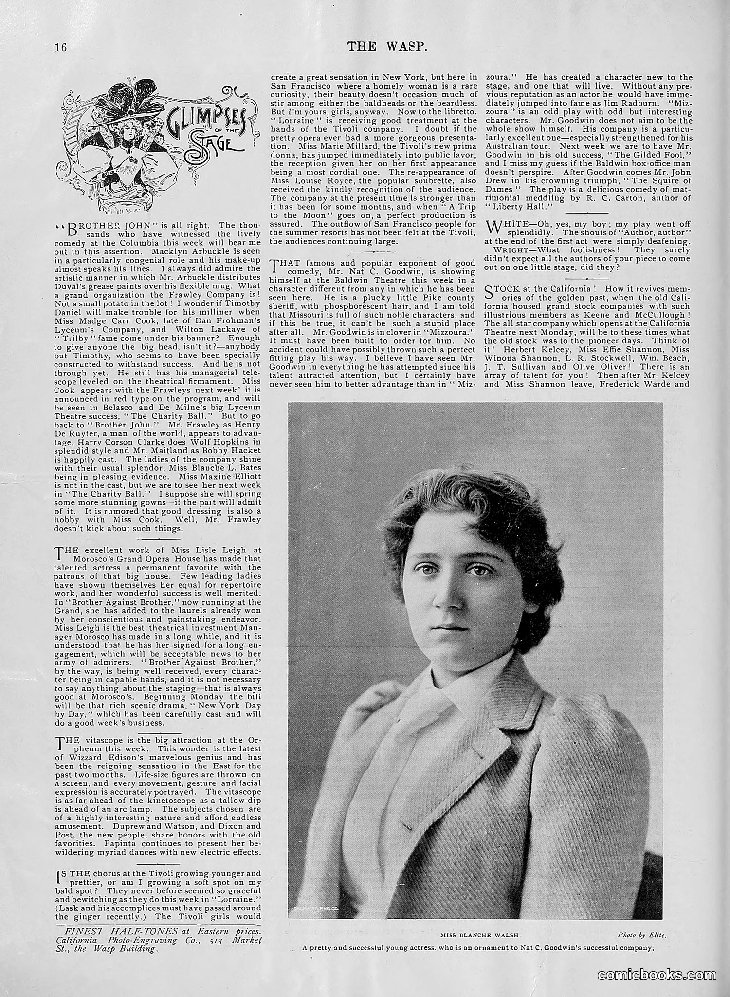 The Wasp — 1896 — page 479 of 1082