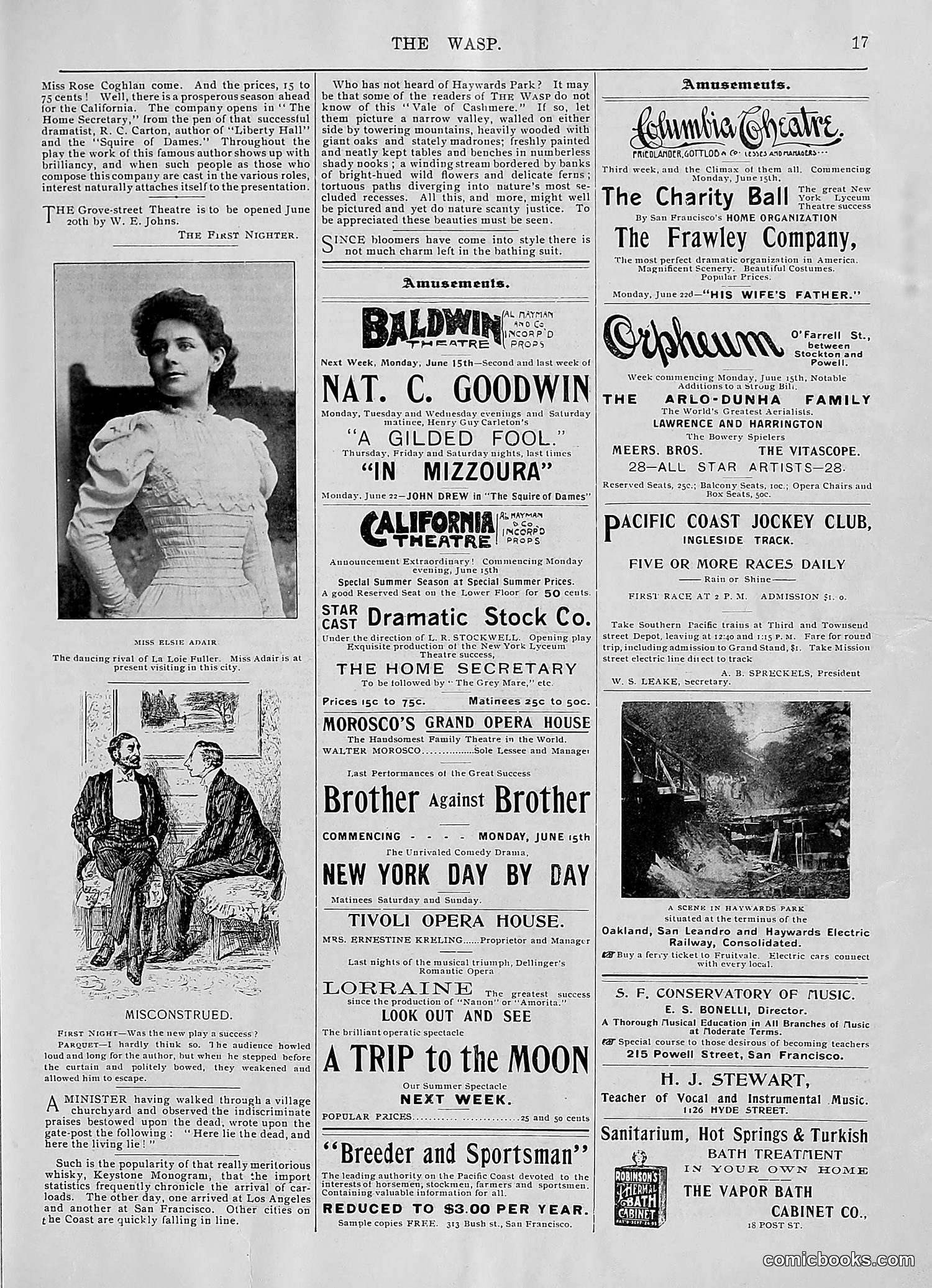 The Wasp — 1896 — page 480 of 1082