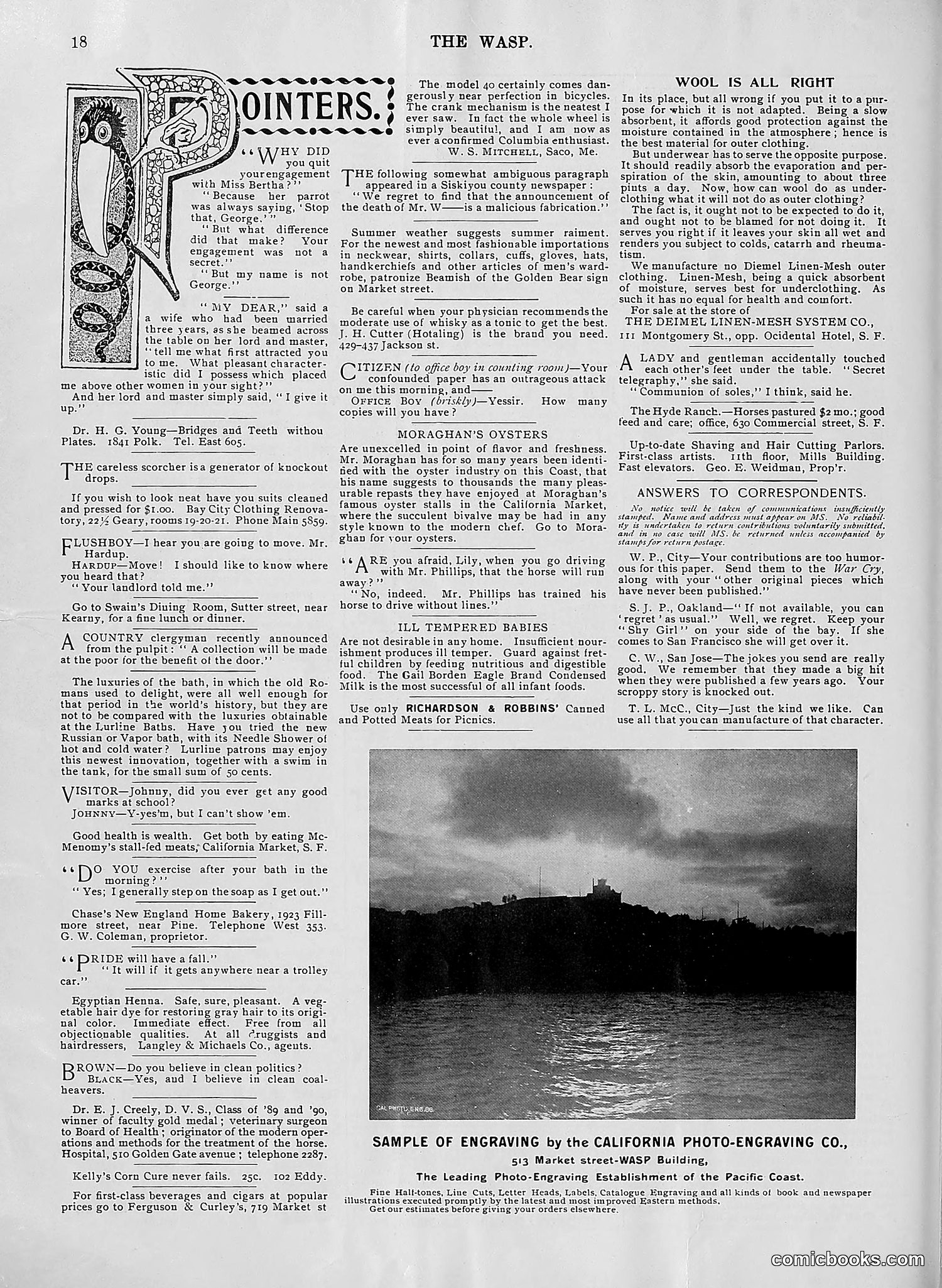 The Wasp — 1896 — page 481 of 1082