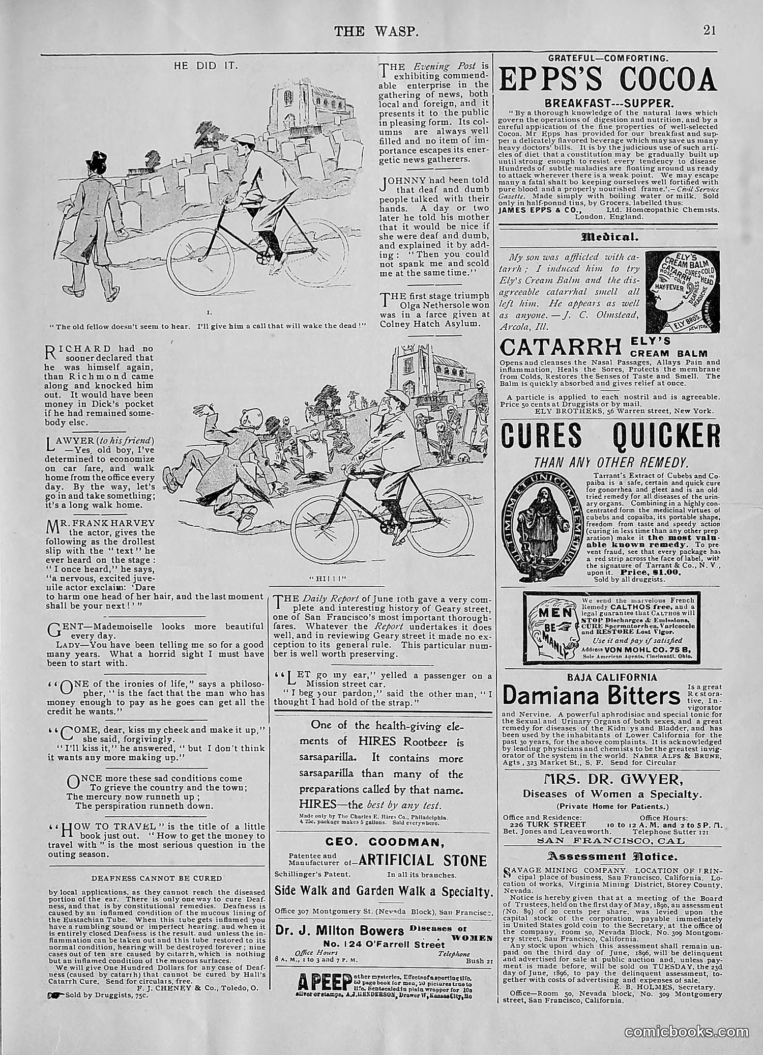 The Wasp — 1896 — page 484 of 1082