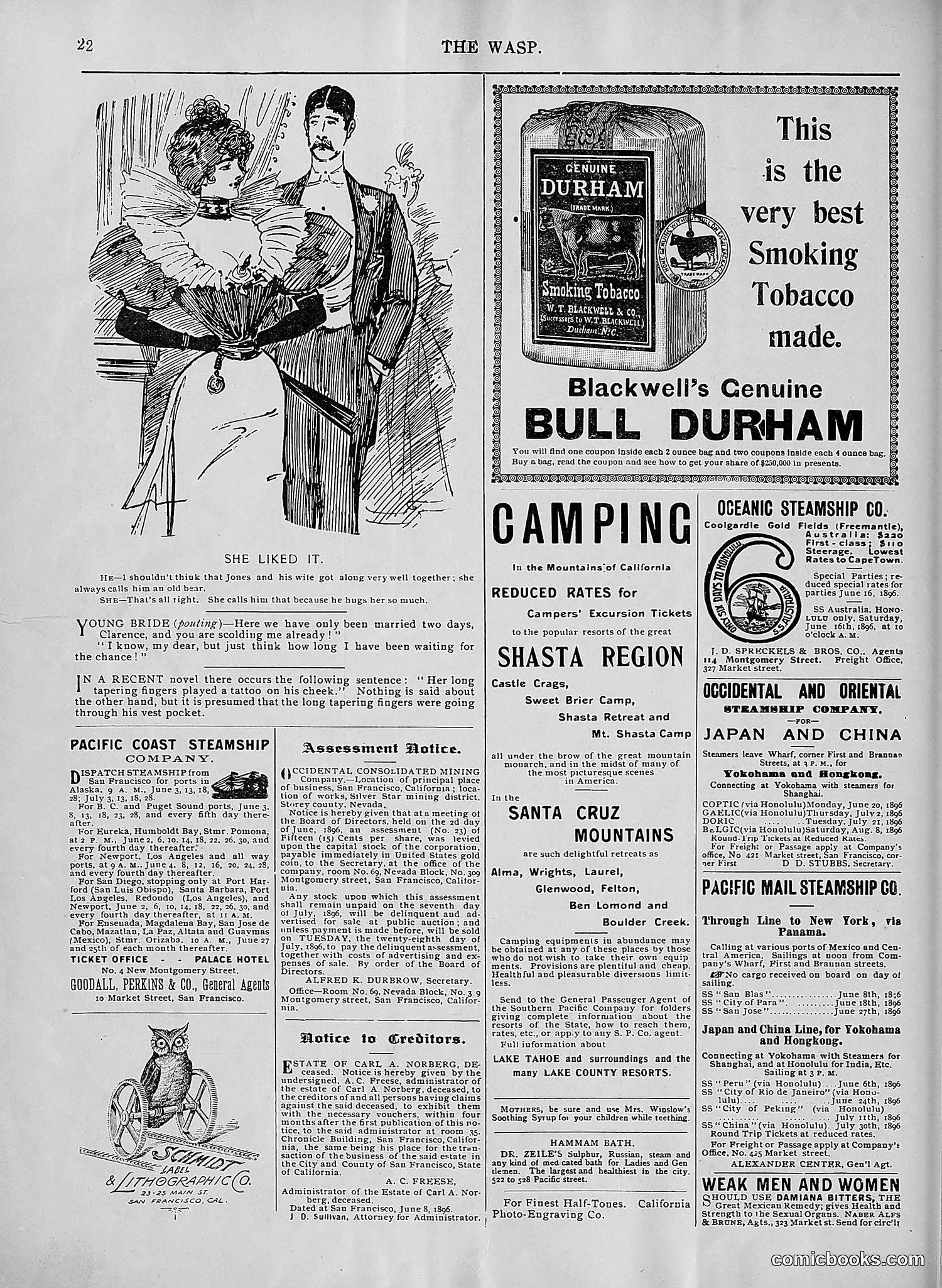 The Wasp — 1896 — page 485 of 1082