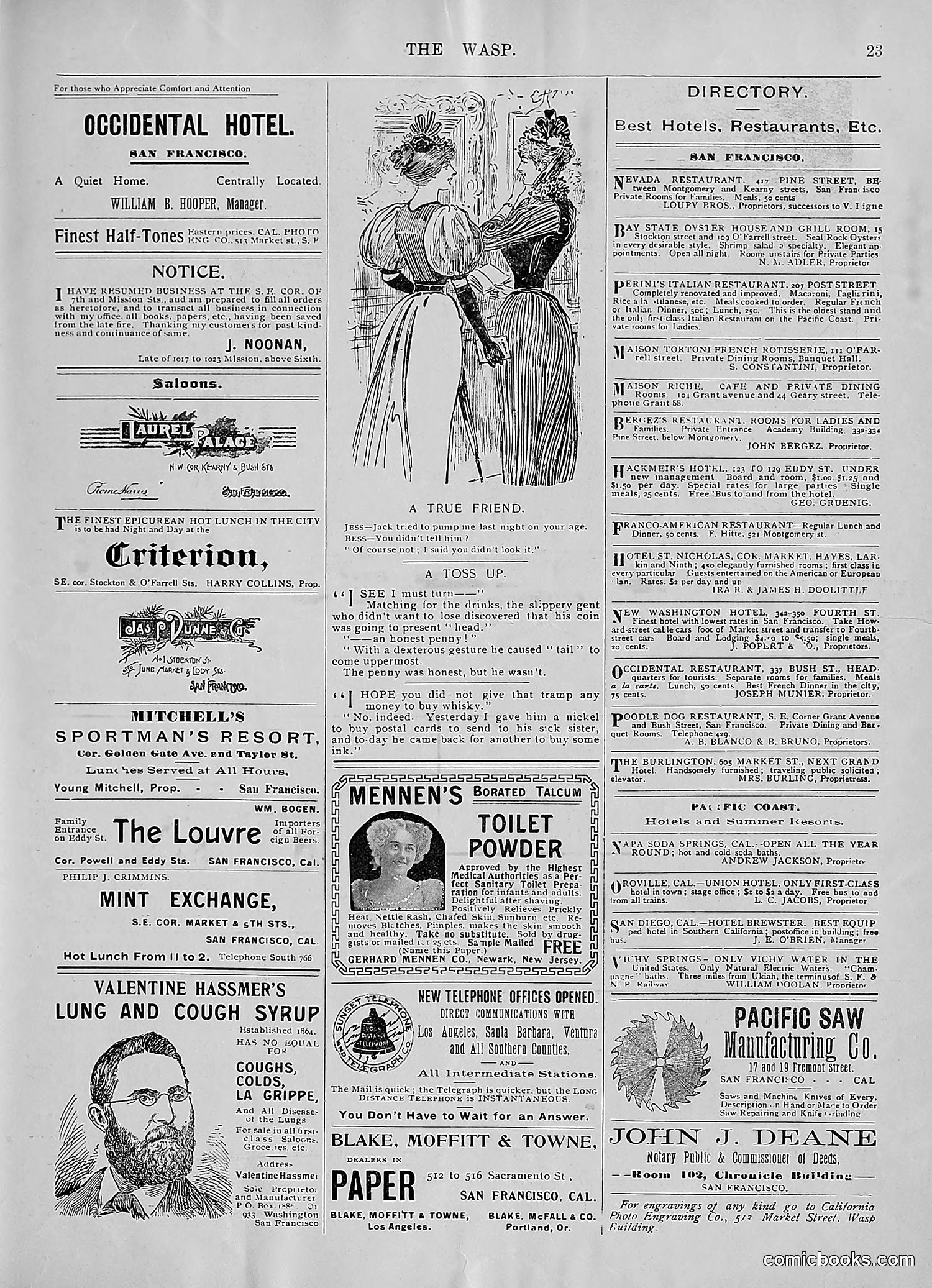 The Wasp — 1896 — page 486 of 1082