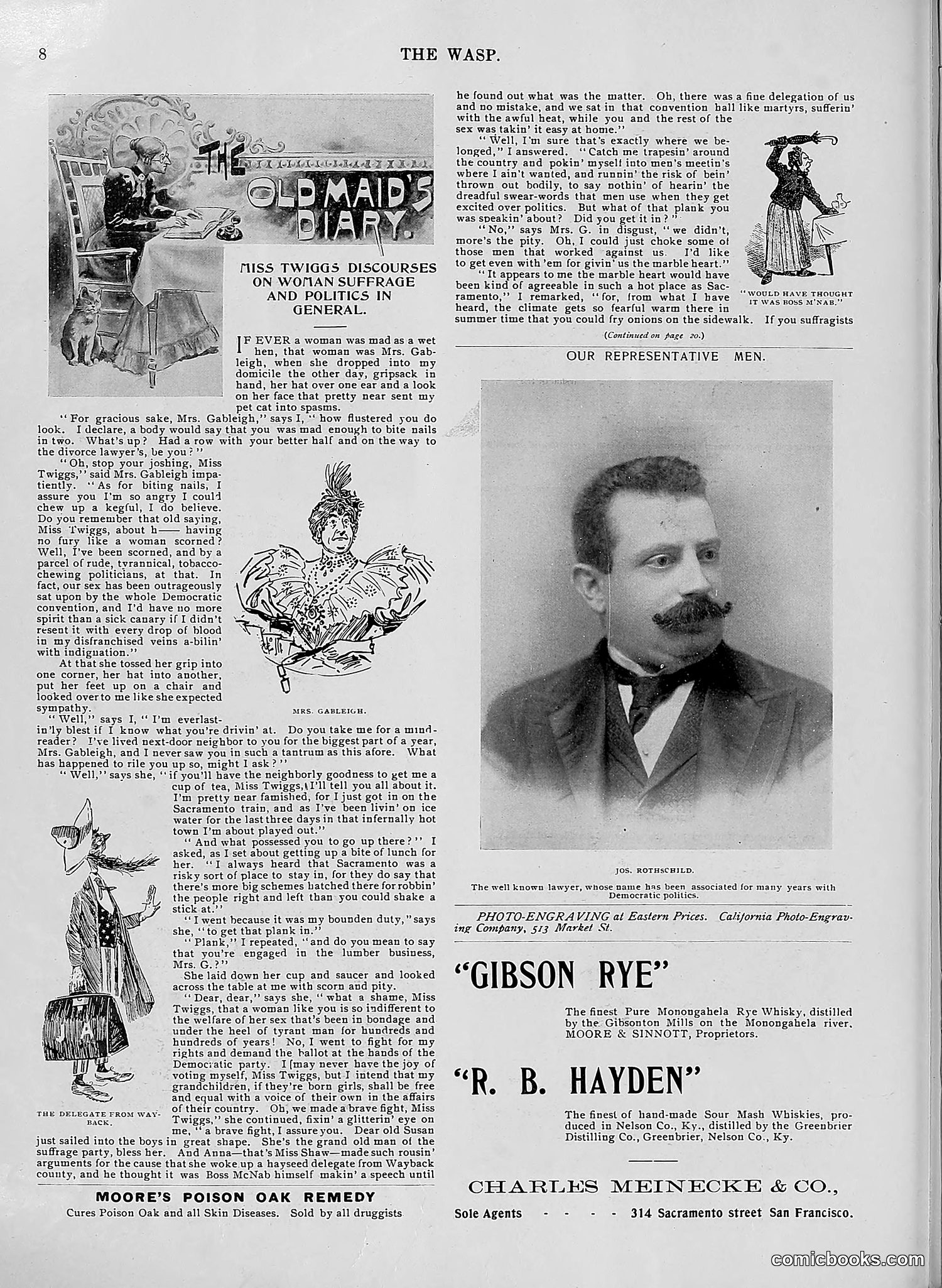The Wasp — 1896 — page 495 of 1082