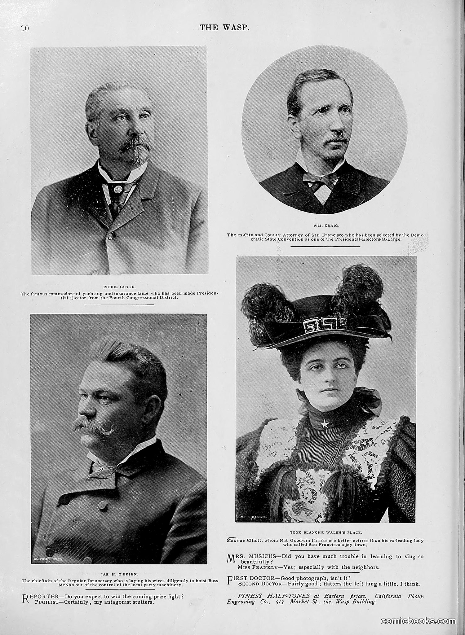 The Wasp — 1896 — page 497 of 1082
