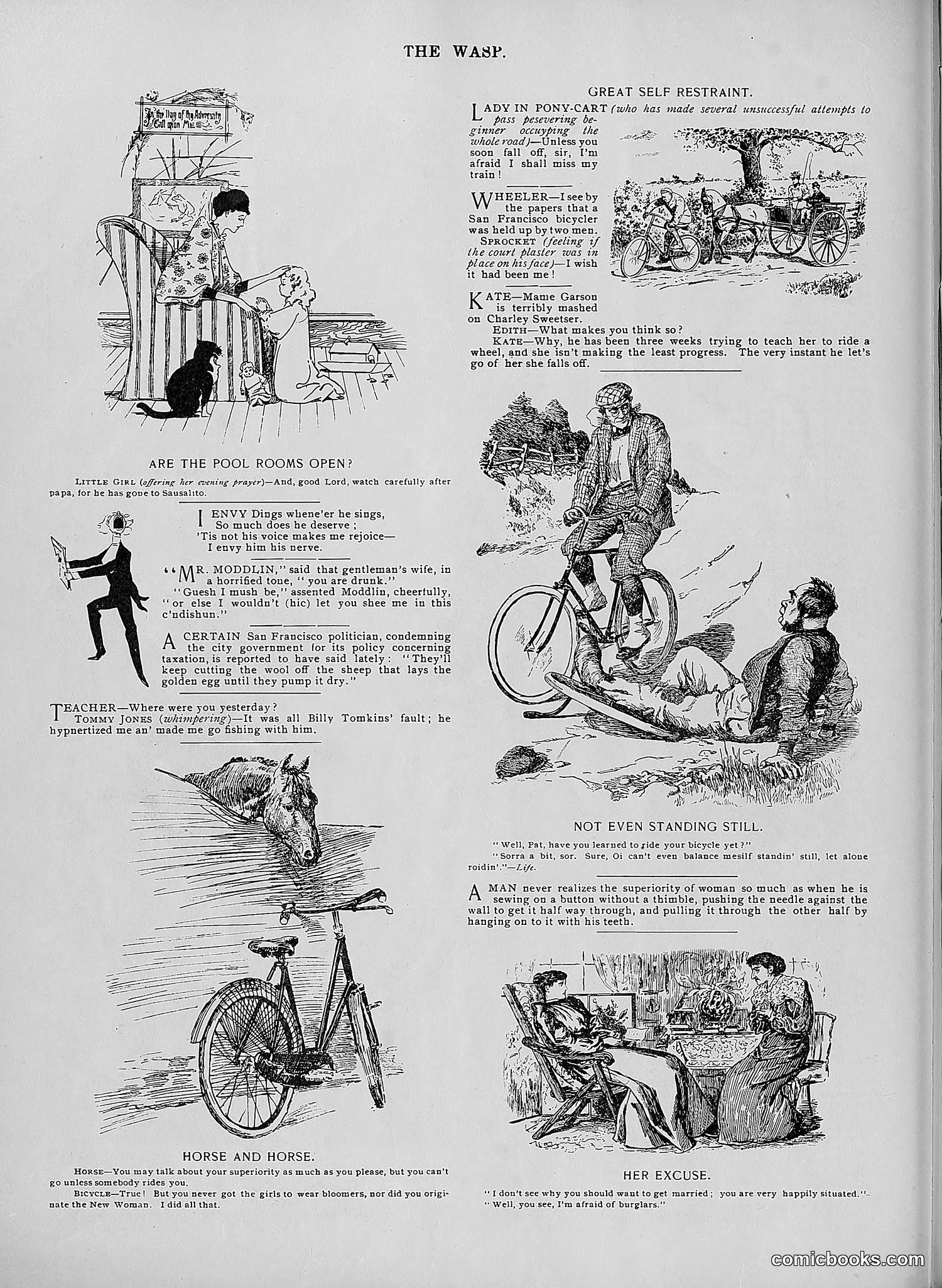 The Wasp — 1896 — page 499 of 1082