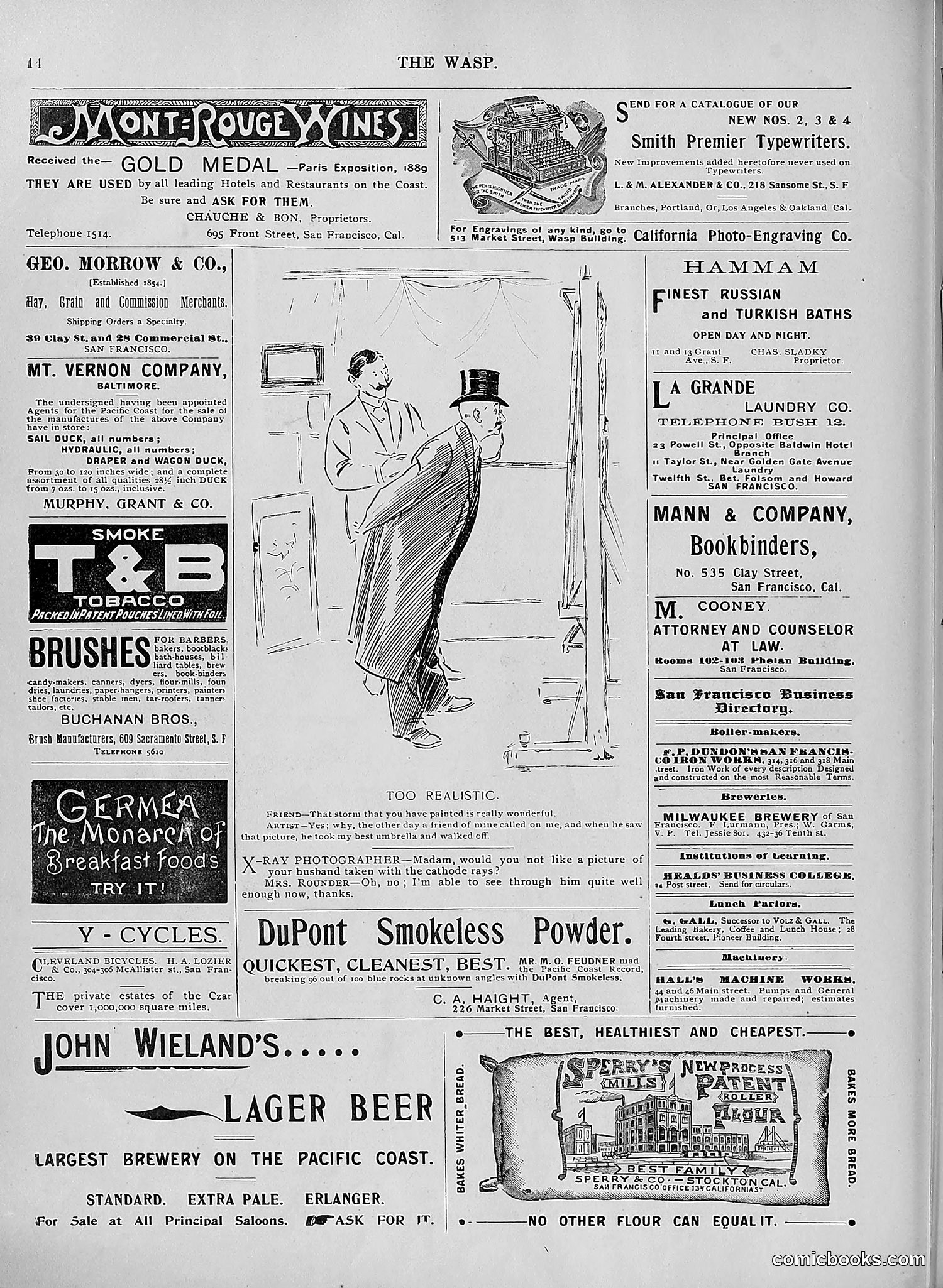 The Wasp — 1896 — page 501 of 1082
