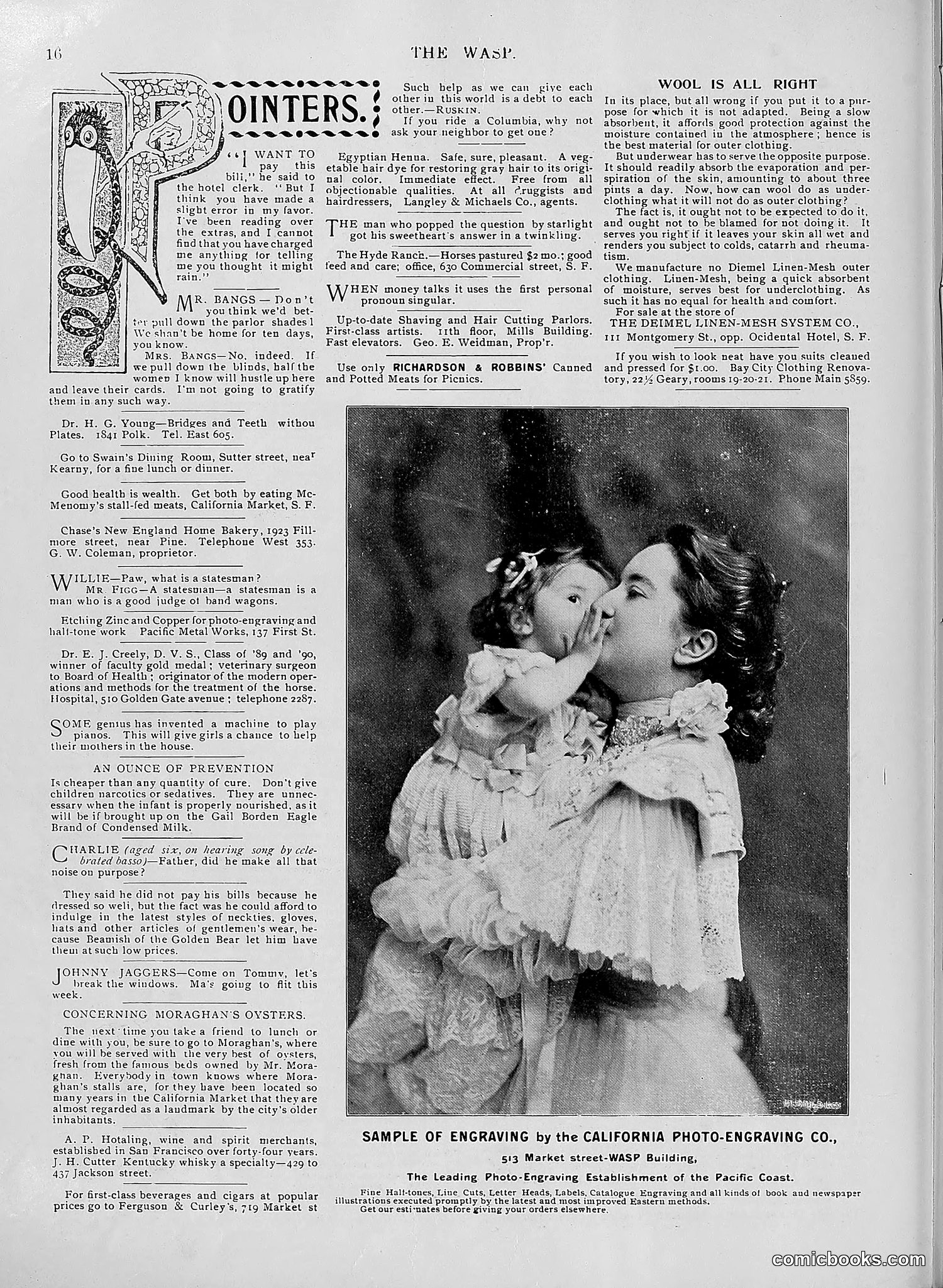 The Wasp — 1896 — page 503 of 1082