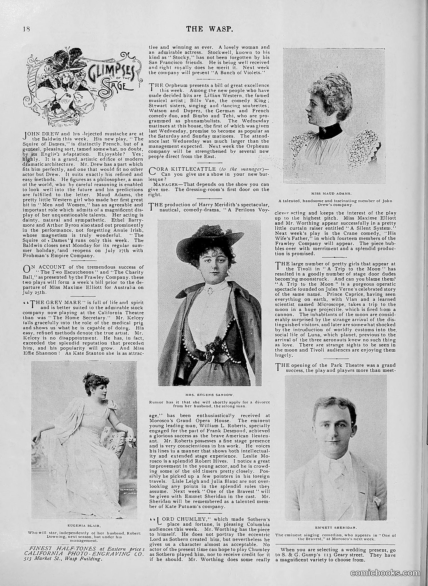 The Wasp — 1896 — page 505 of 1082