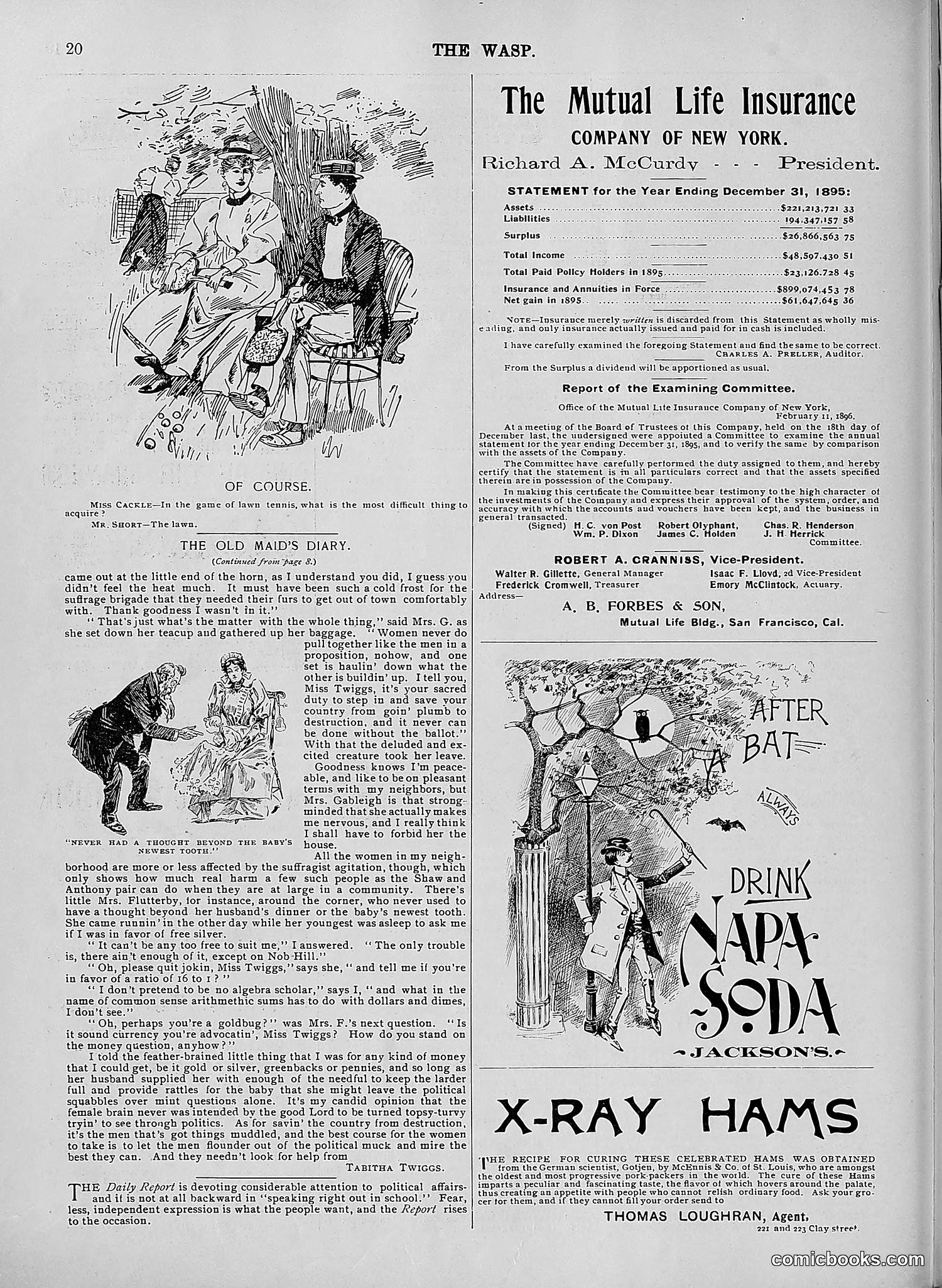The Wasp — 1896 — page 507 of 1082