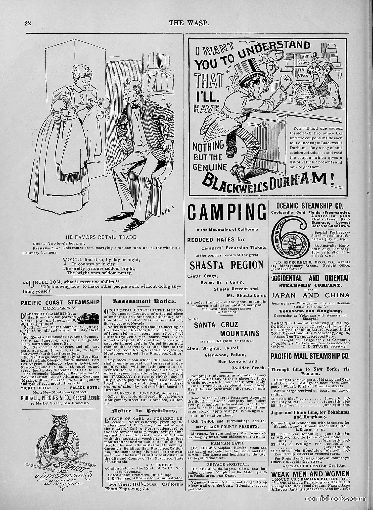 The Wasp — 1896 — page 509 of 1082