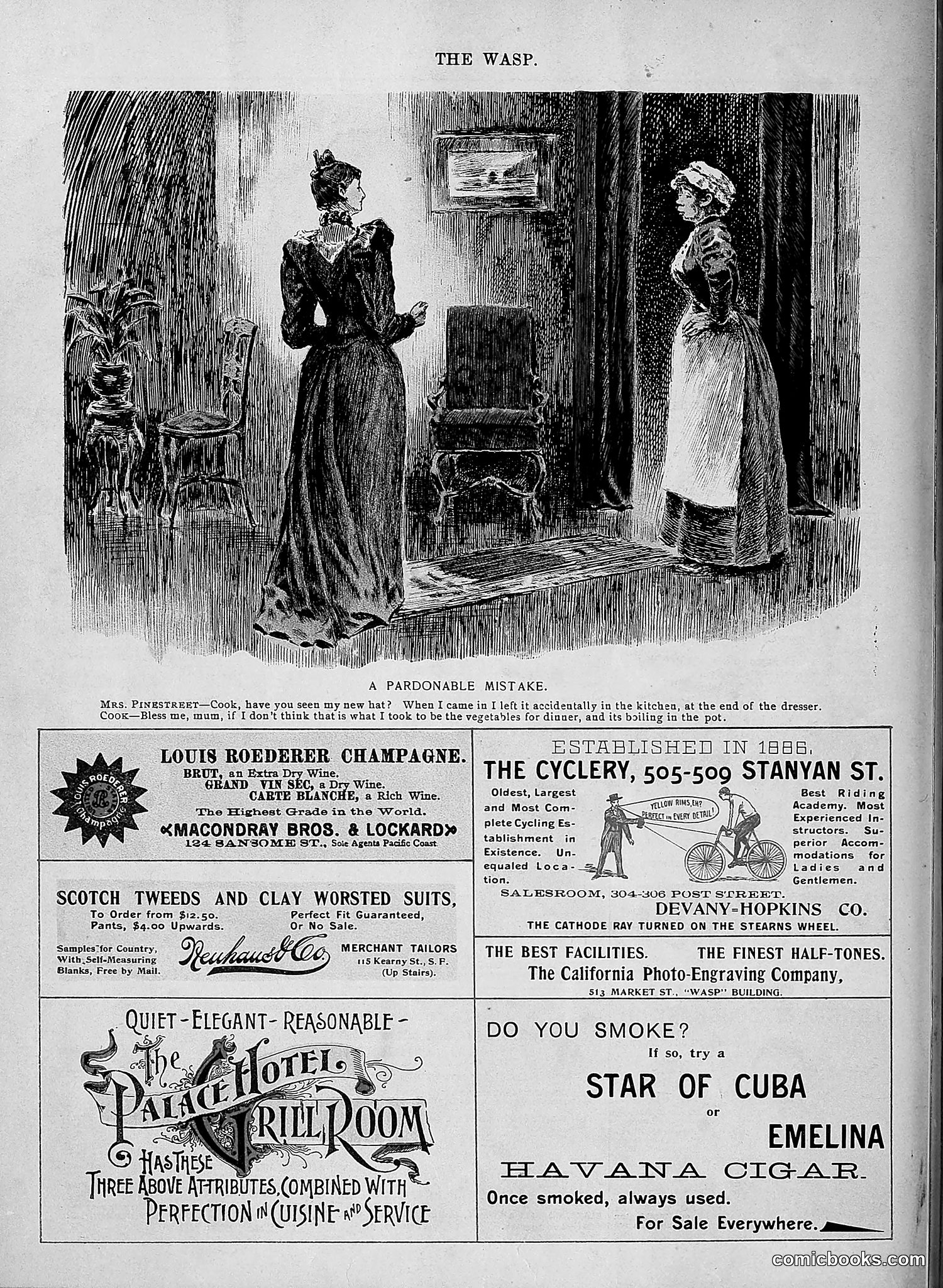 The Wasp — 1896 — page 511 of 1082
