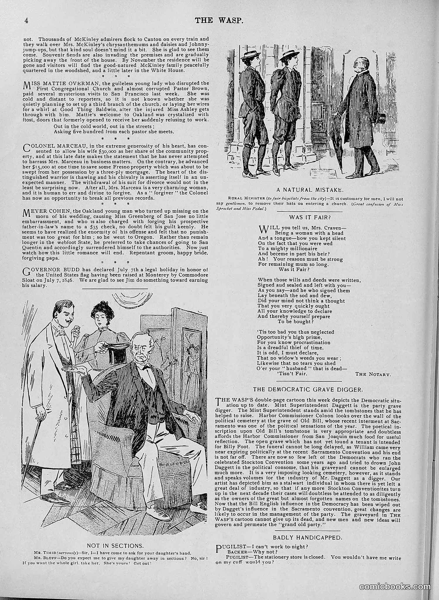 The Wasp — 1896 — page 515 of 1082