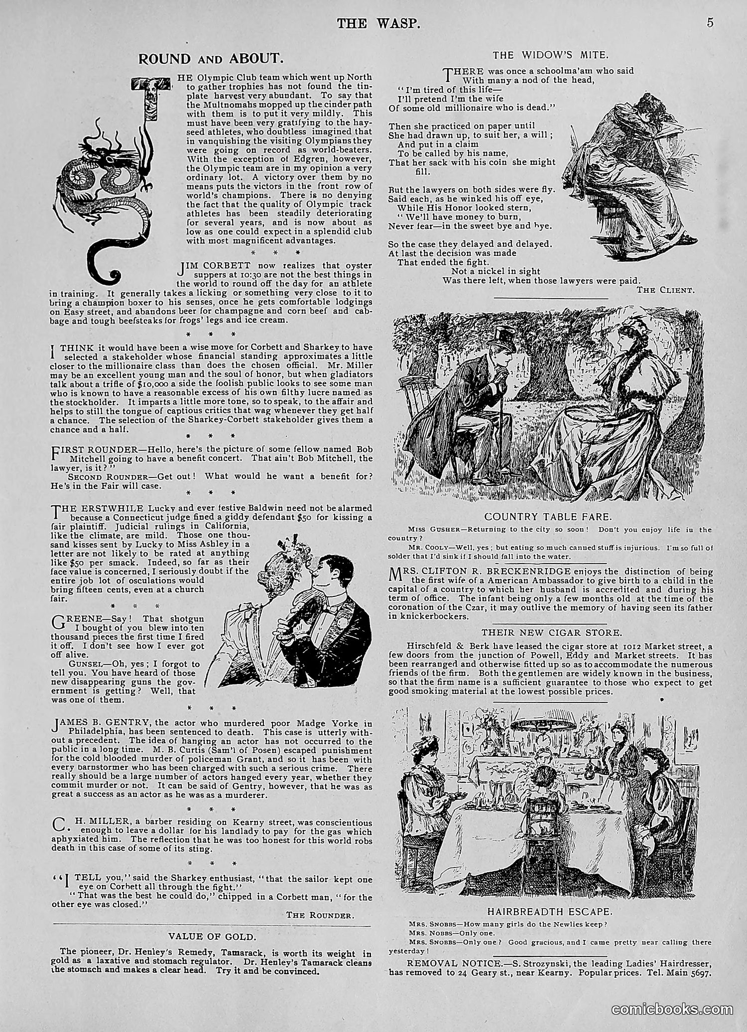 The Wasp — 1896 — page 516 of 1082