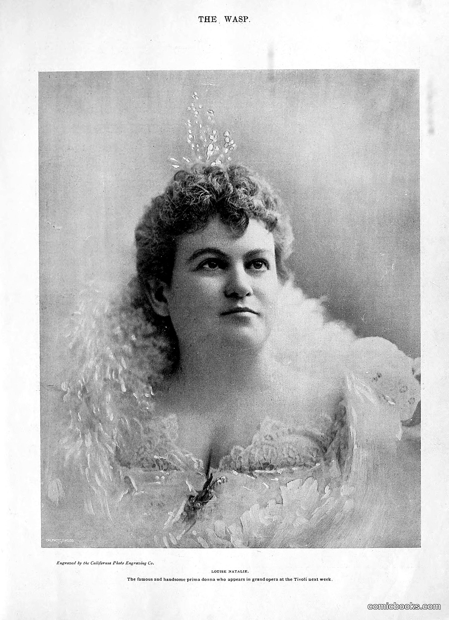 The Wasp — 1896 — page 518 of 1082