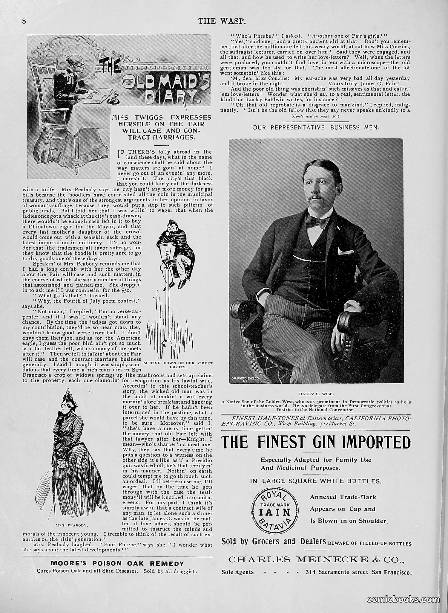 The Wasp — 1896 — page 519 of 1082