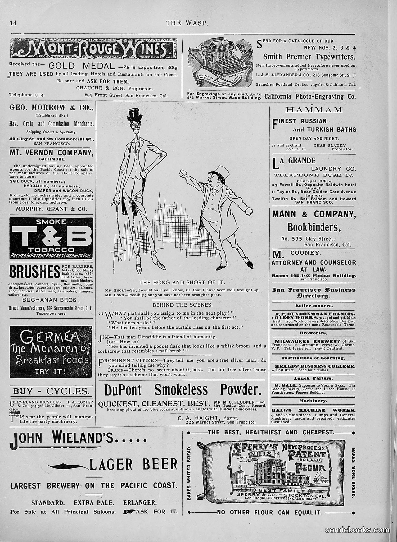 The Wasp — 1896 — page 523 of 1082