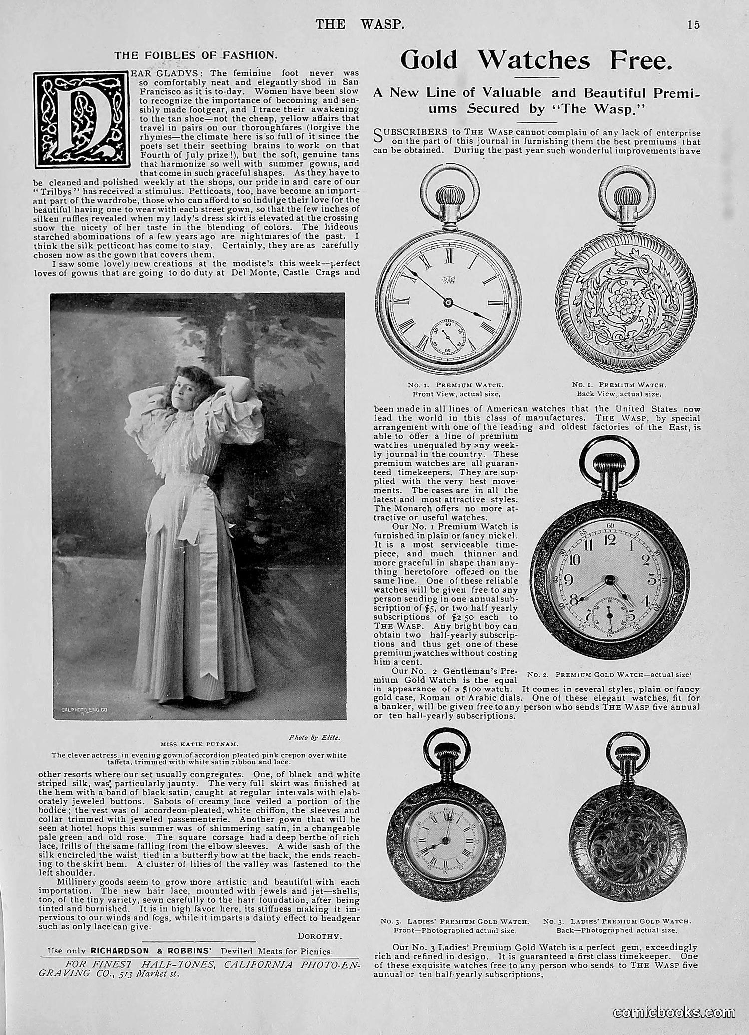 The Wasp — 1896 — page 524 of 1082