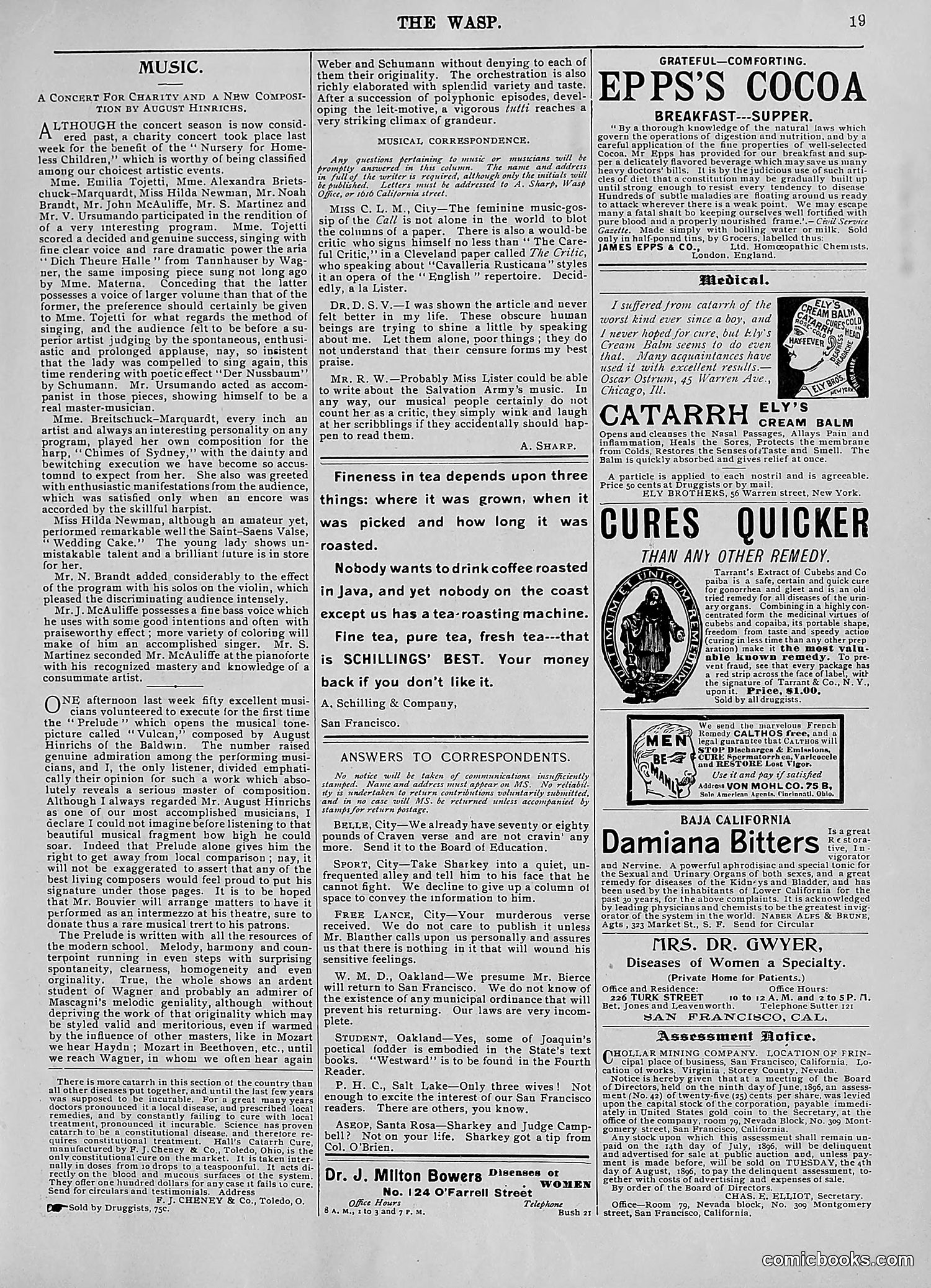 The Wasp — 1896 — page 528 of 1082