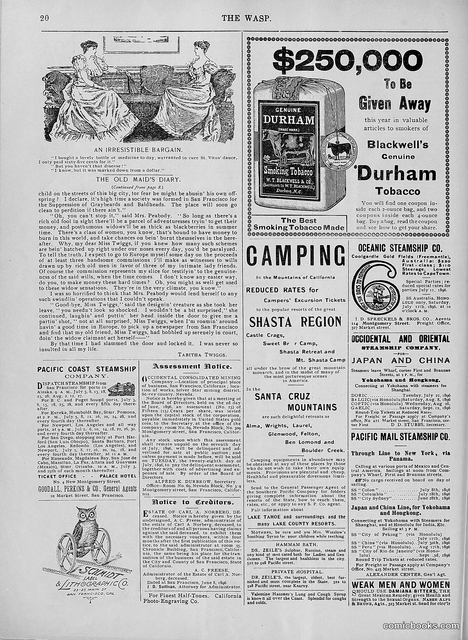 The Wasp — 1896 — page 529 of 1082