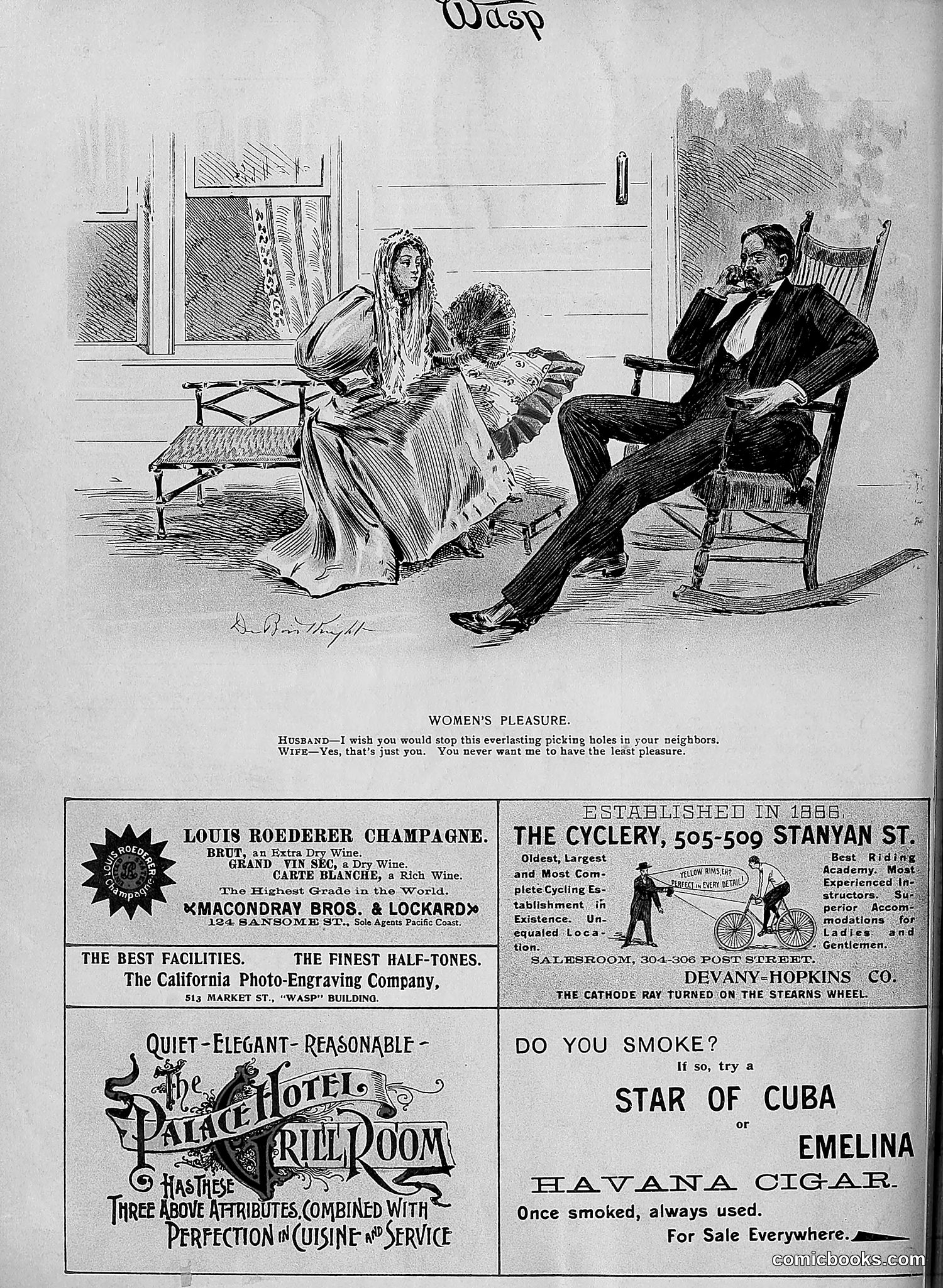 The Wasp — 1896 — page 531 of 1082