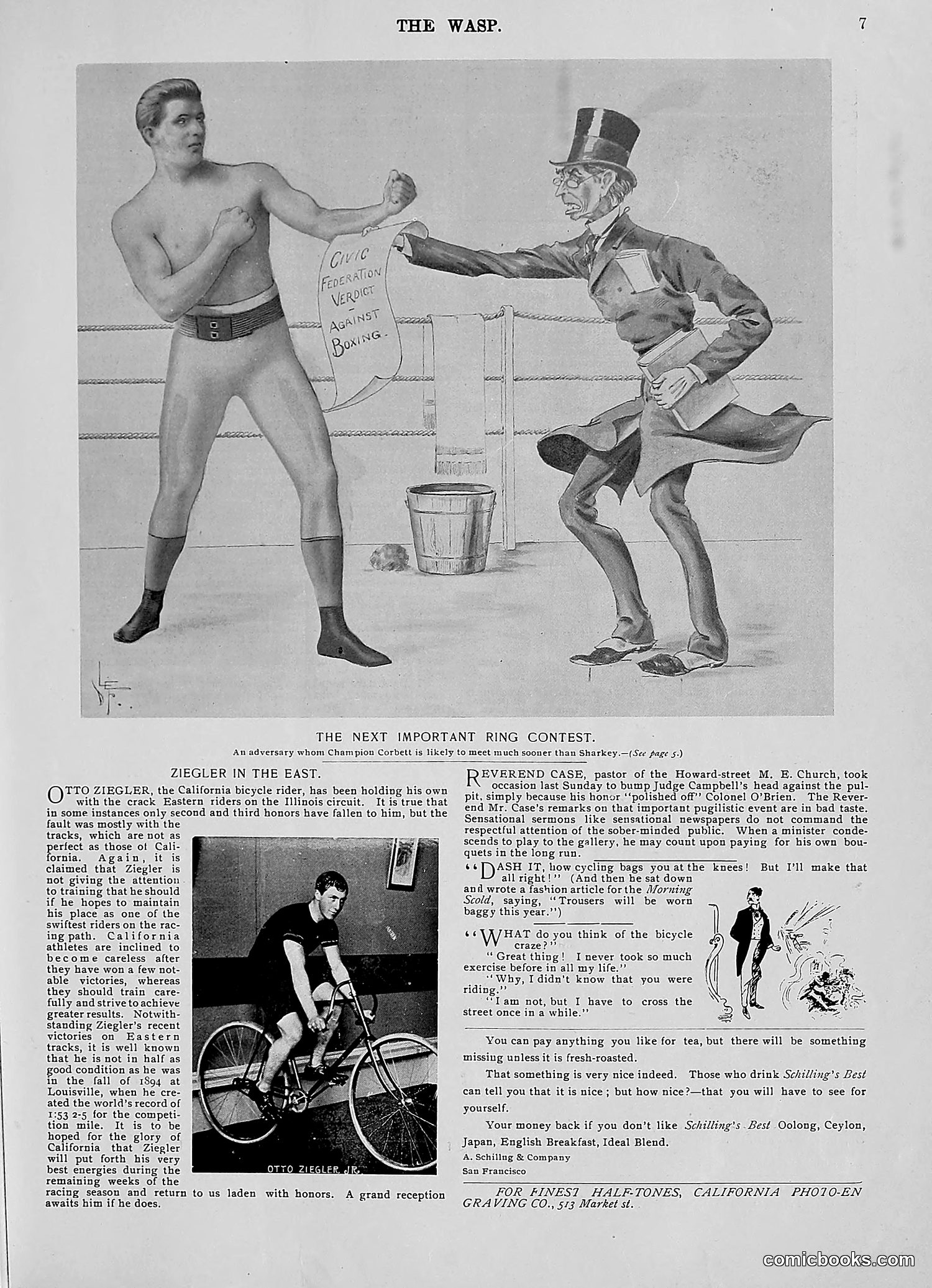 The Wasp — 1896 — page 538 of 1082