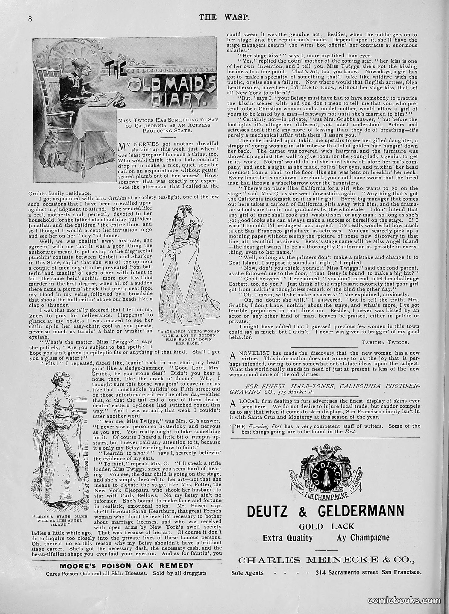 The Wasp — 1896 — page 539 of 1082