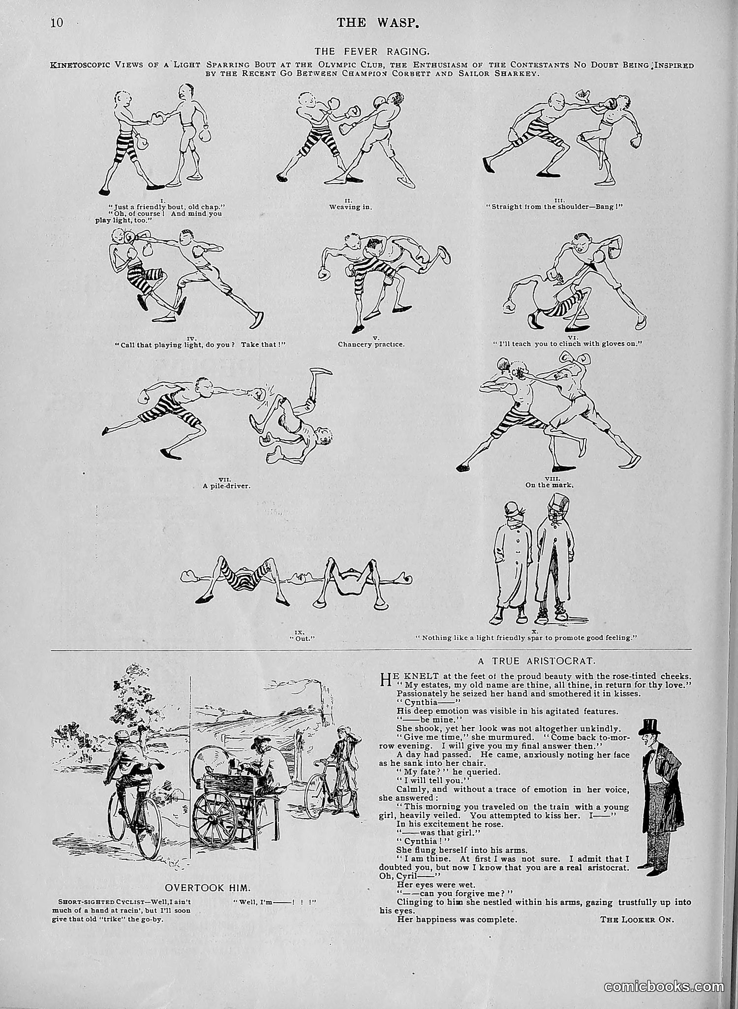 The Wasp — 1896 — page 541 of 1082