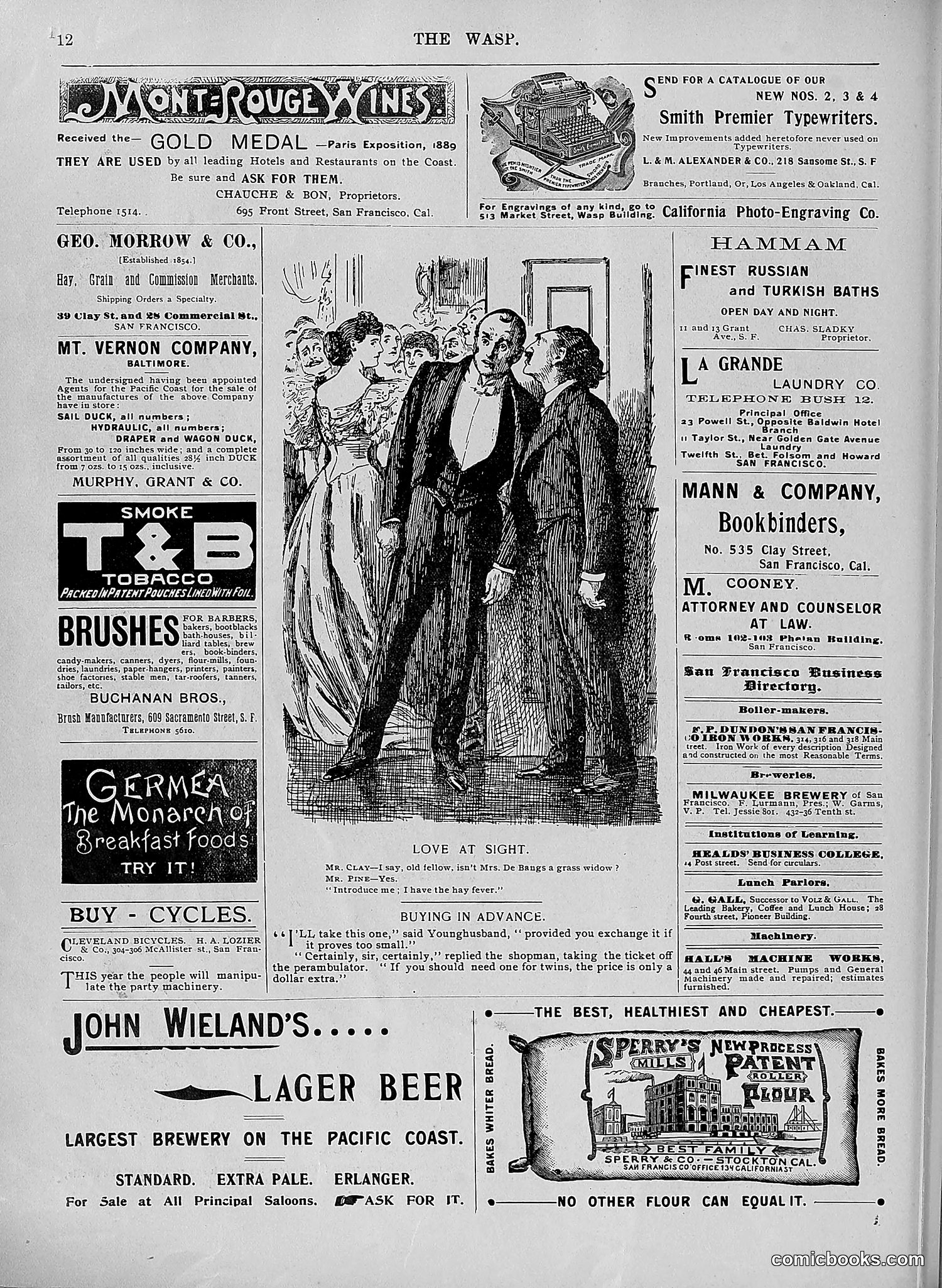 The Wasp — 1896 — page 543 of 1082