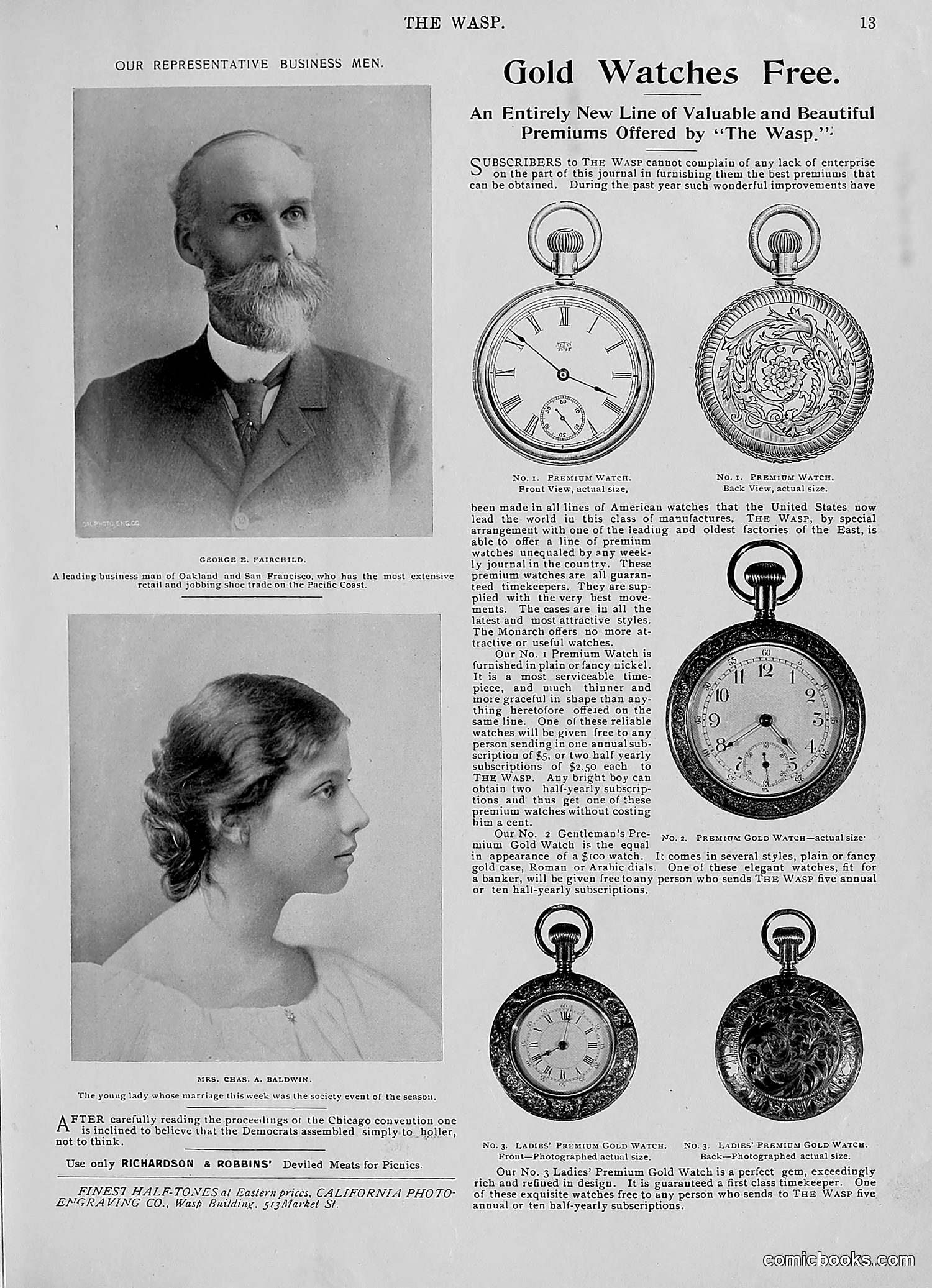 The Wasp — 1896 — page 544 of 1082