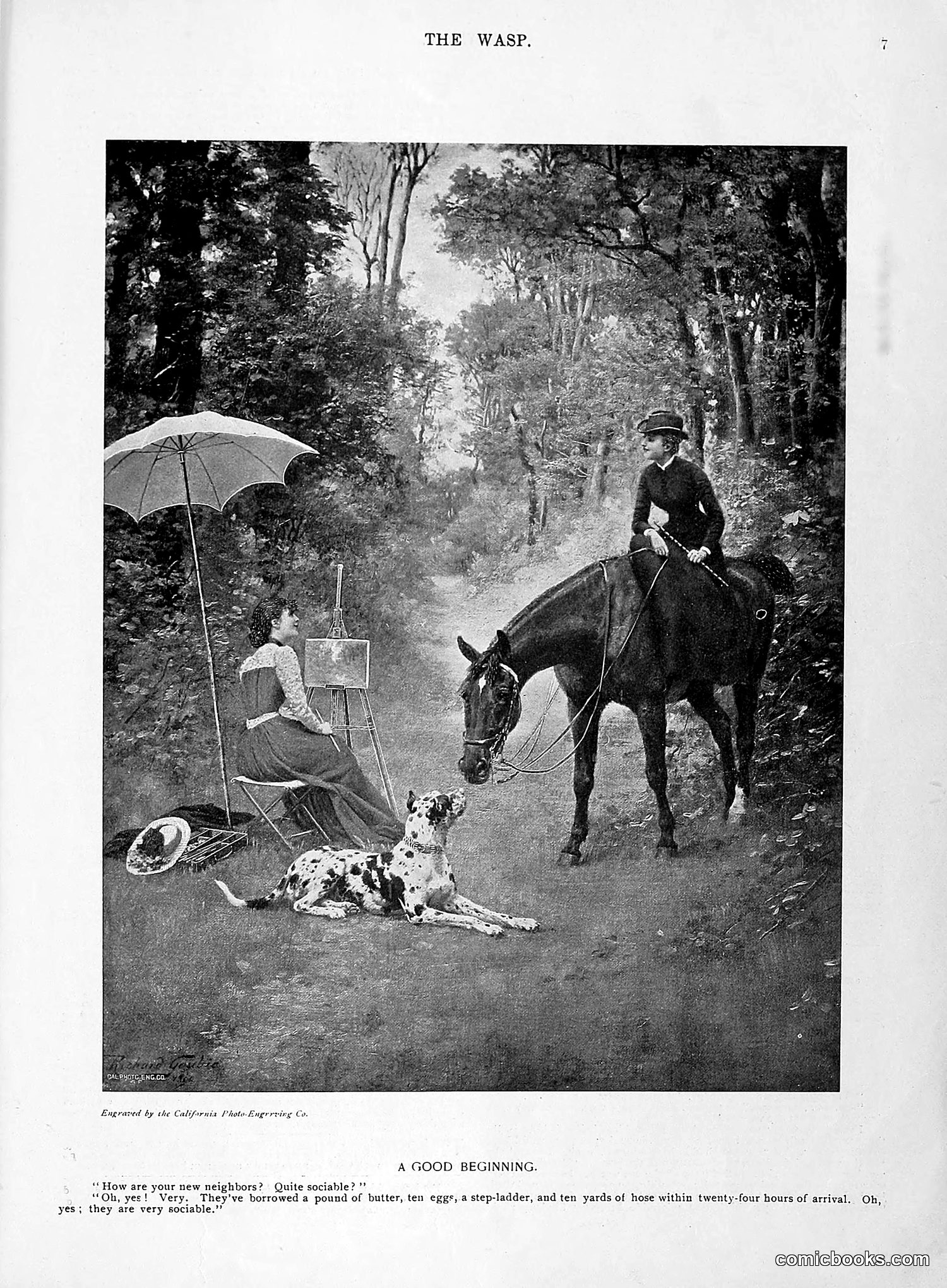 The Wasp — 1896 — page 56 of 1082