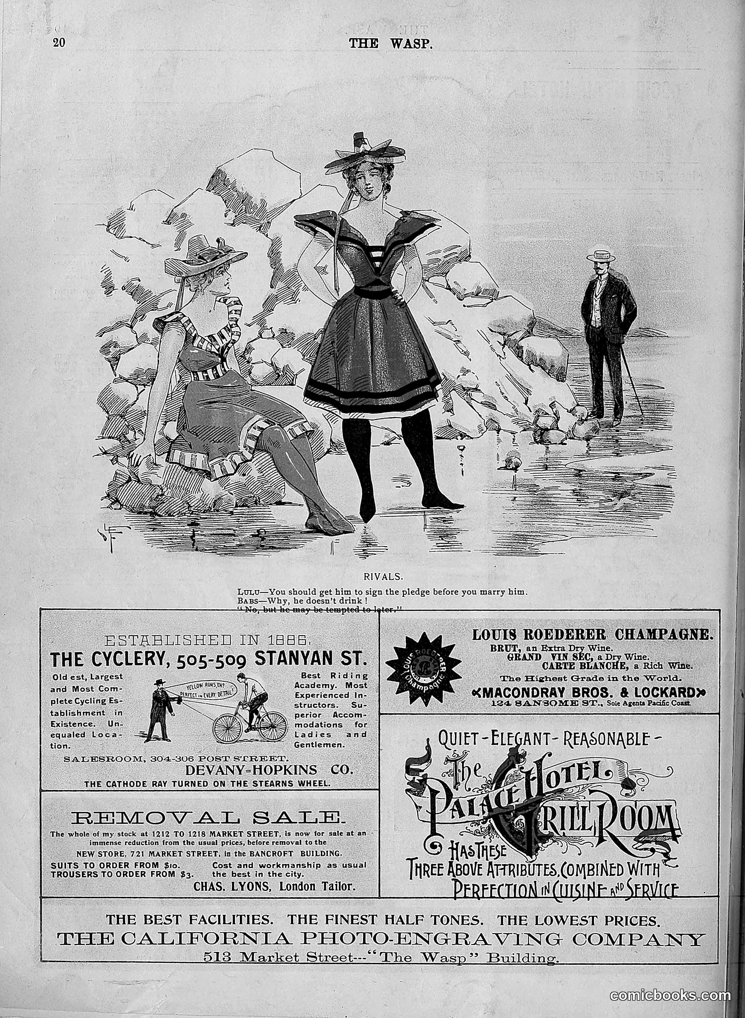 The Wasp — 1896 — page 551 of 1082
