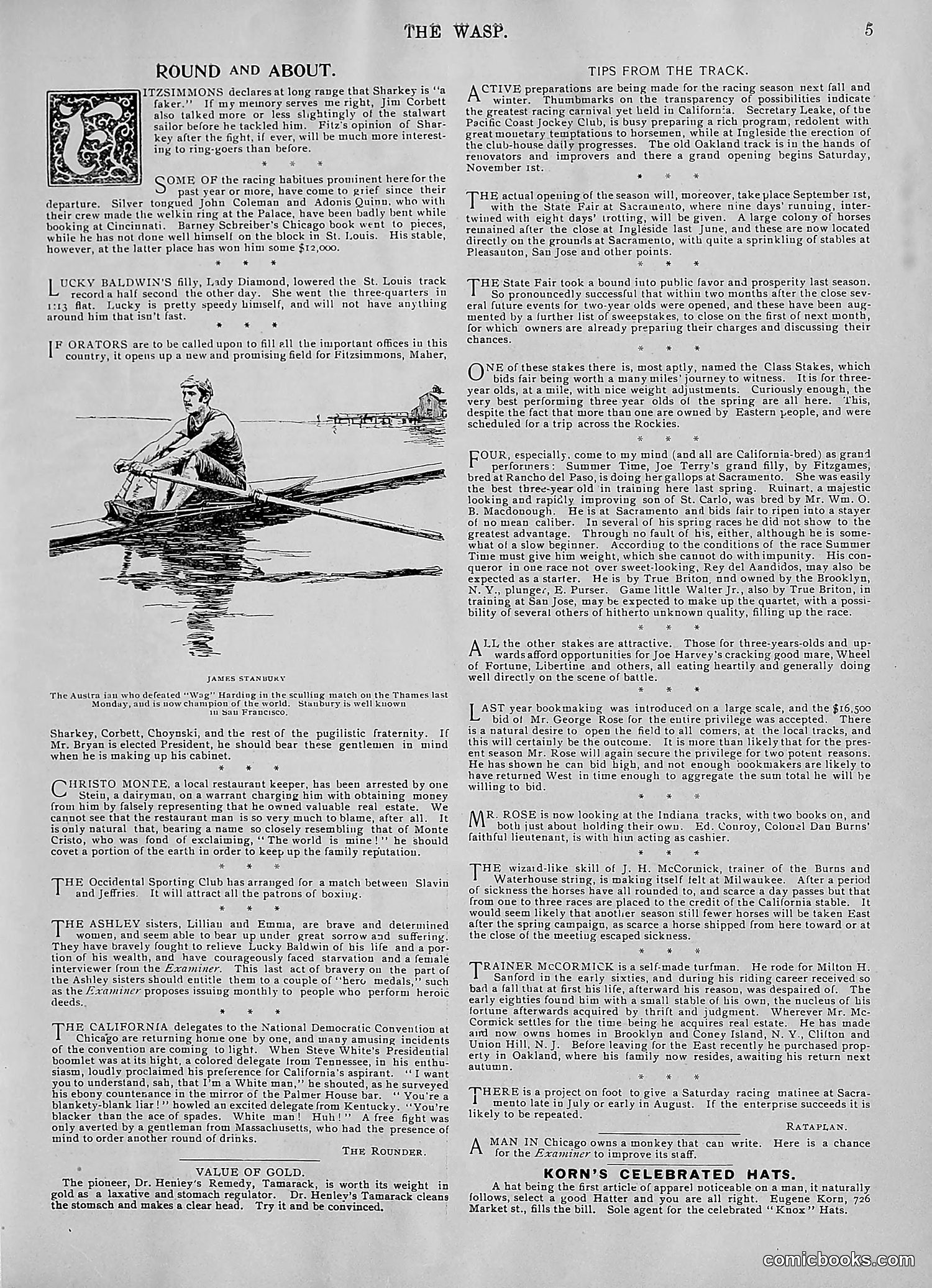 The Wasp — 1896 — page 556 of 1082