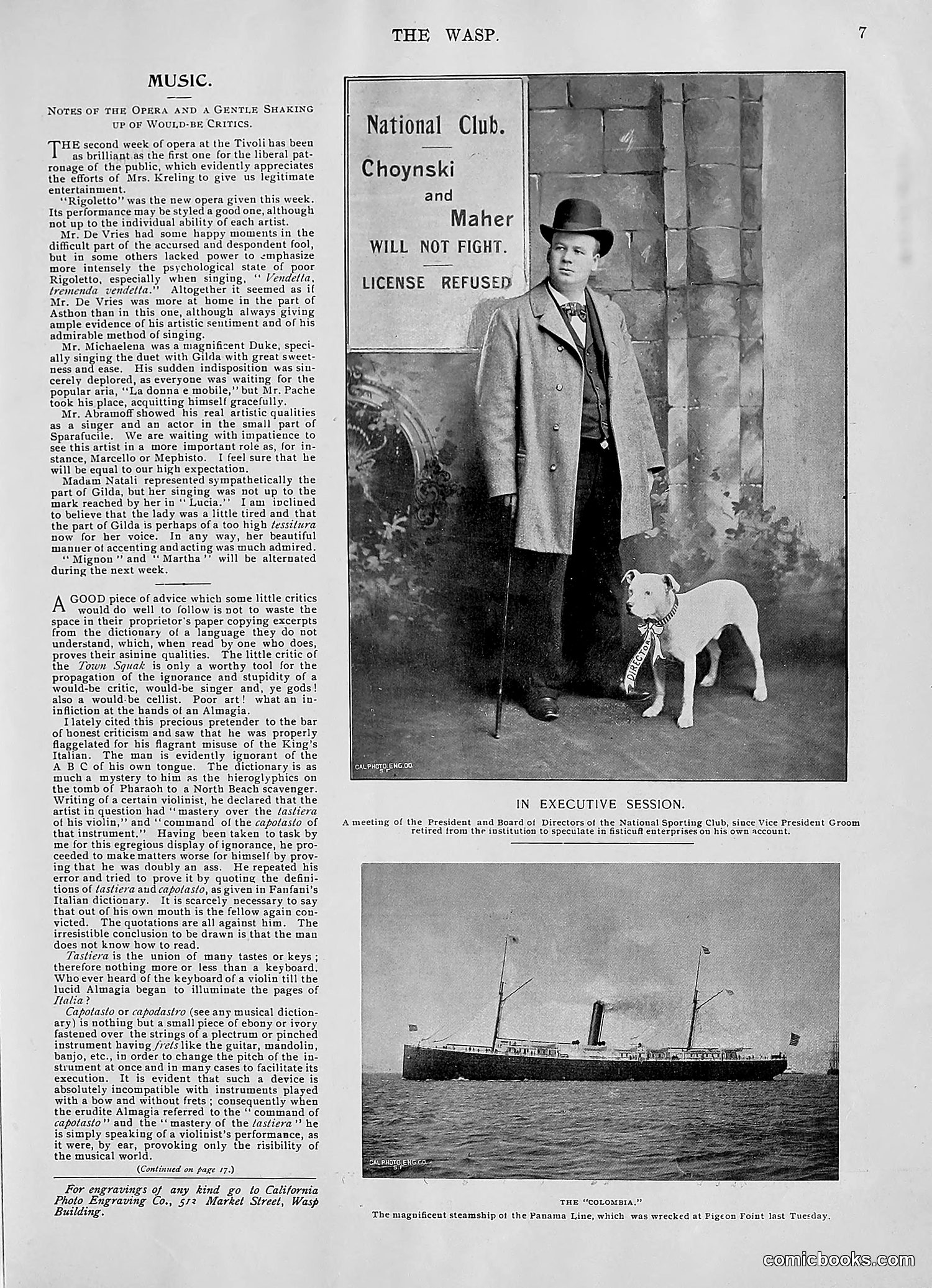 The Wasp — 1896 — page 558 of 1082
